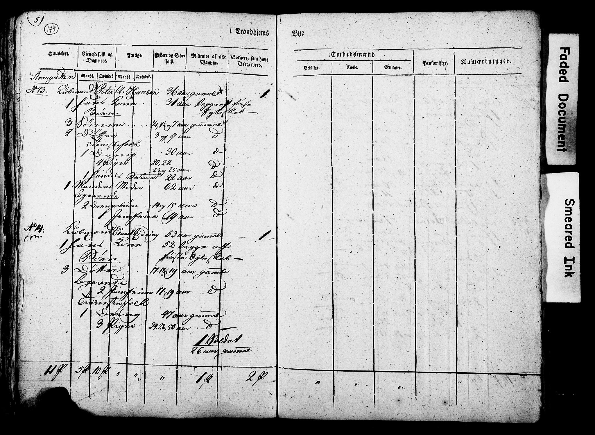 RA, Census 1815 for Trondheim, 1815, p. 173