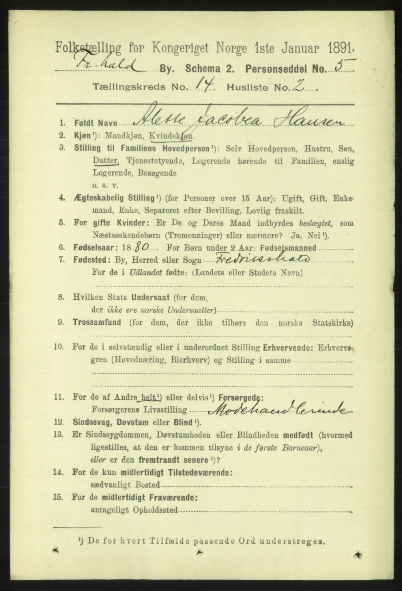 RA, 1891 census for 0101 Fredrikshald, 1891, p. 9024