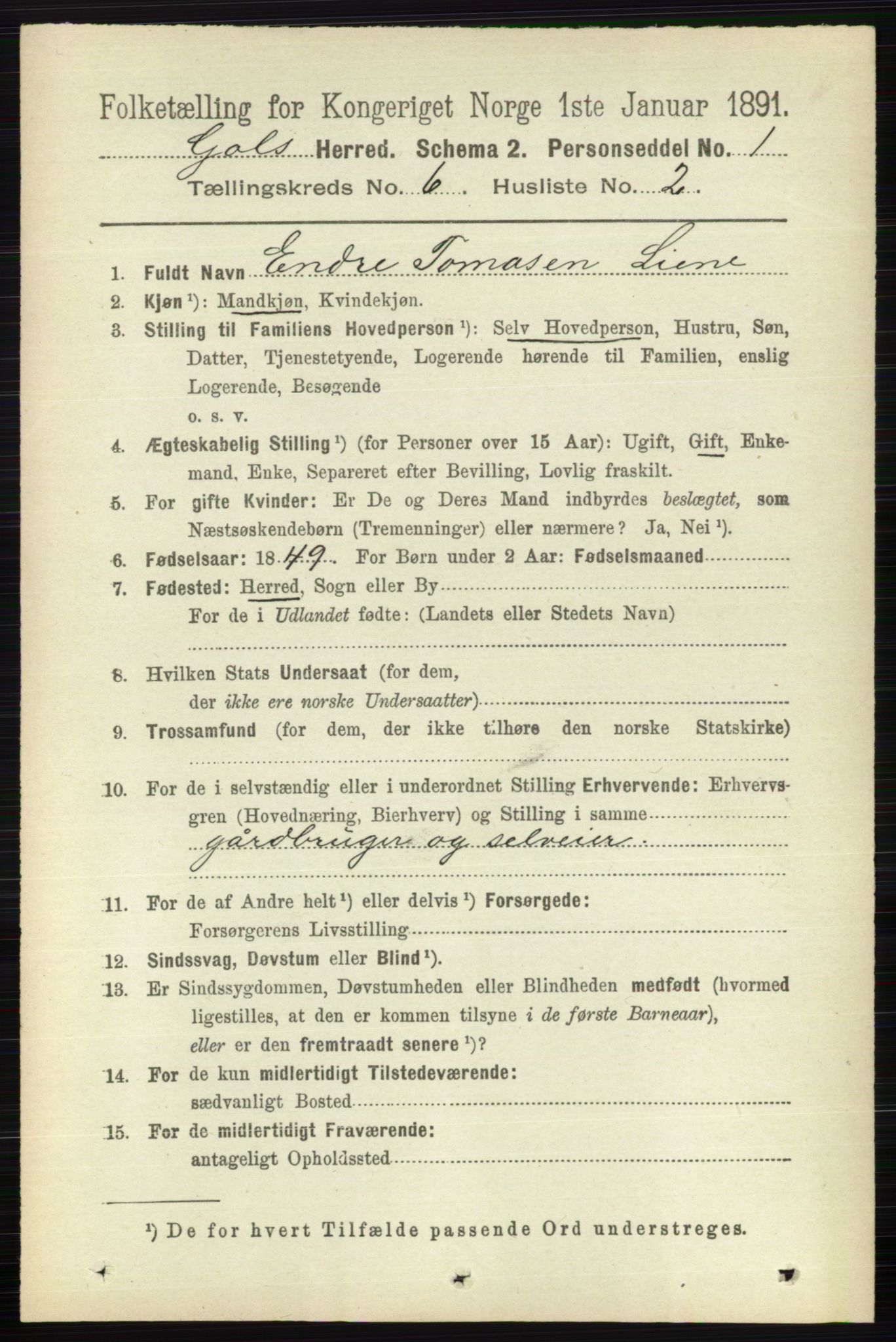 RA, 1891 census for 0617 Gol og Hemsedal, 1891, p. 2427