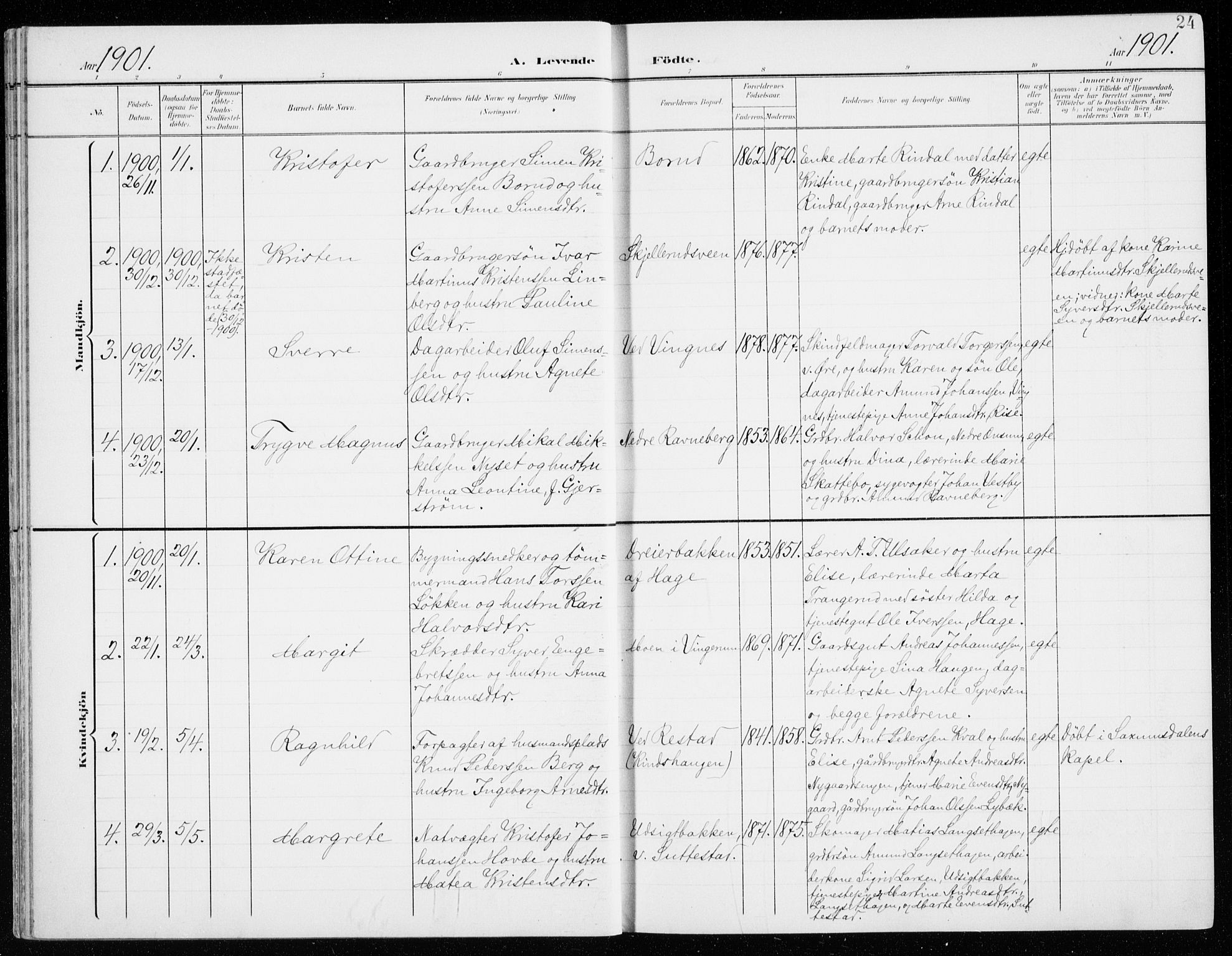 Fåberg prestekontor, SAH/PREST-086/H/Ha/Haa/L0011: Parish register (official) no. 11, 1899-1913, p. 24