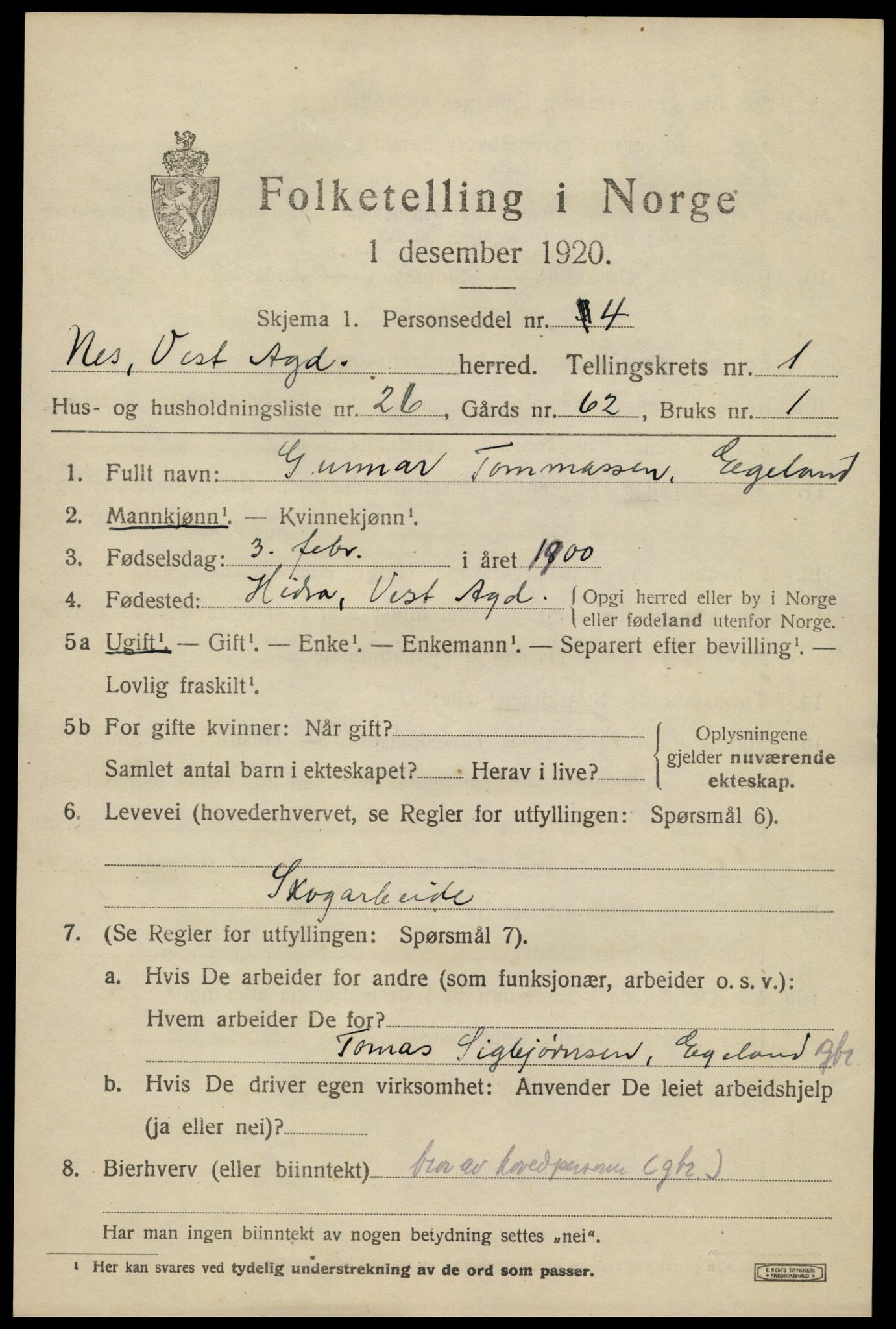 SAK, 1920 census for Nes (V-A), 1920, p. 1380