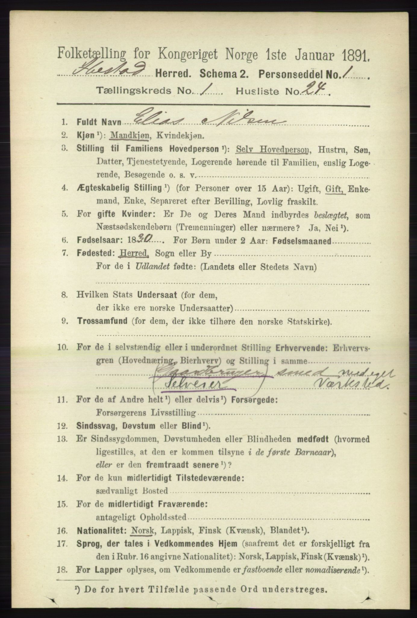 RA, 1891 census for 1917 Ibestad, 1891, p. 294