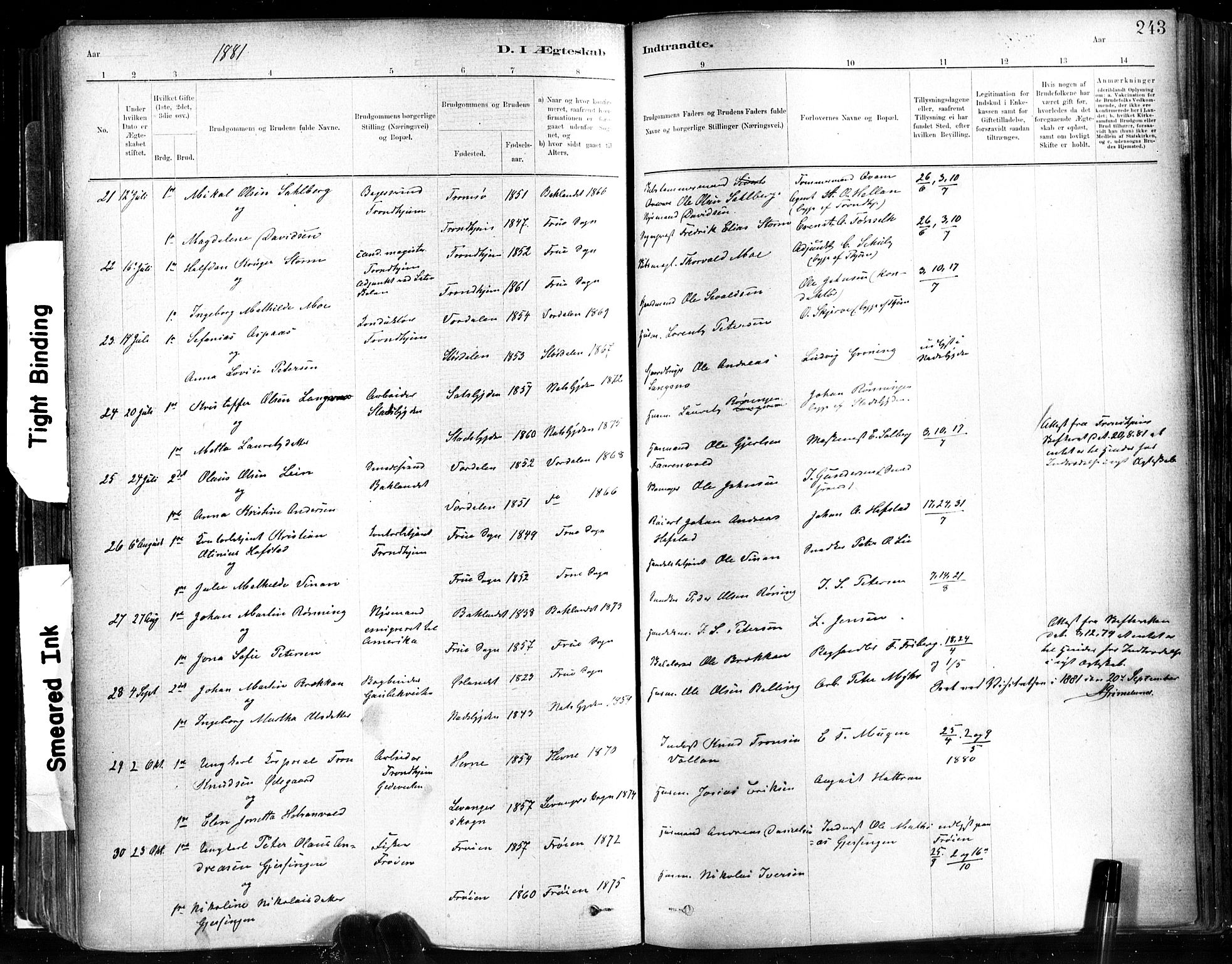 Ministerialprotokoller, klokkerbøker og fødselsregistre - Sør-Trøndelag, AV/SAT-A-1456/602/L0119: Parish register (official) no. 602A17, 1880-1901, p. 243