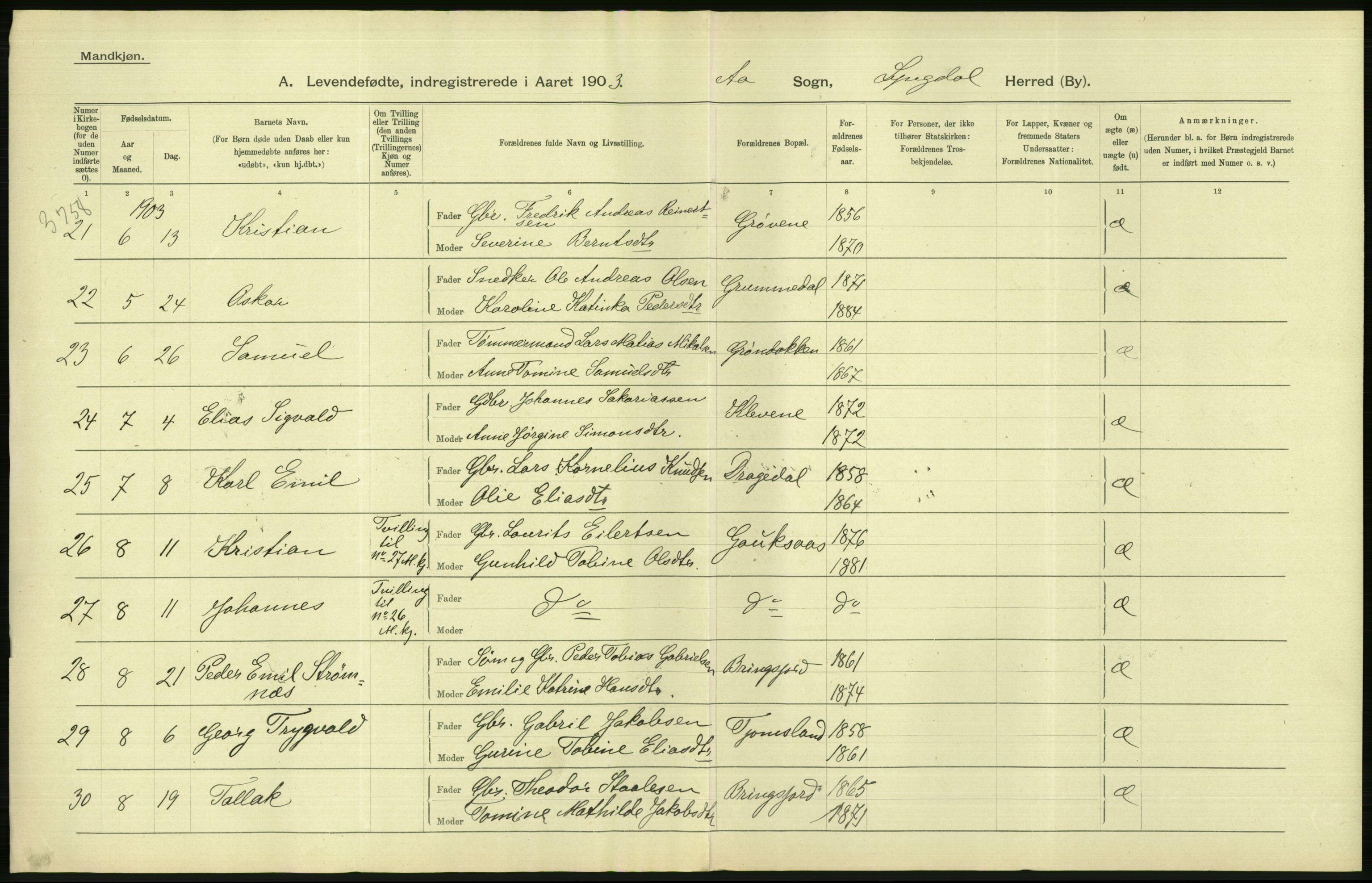 Statistisk sentralbyrå, Sosiodemografiske emner, Befolkning, AV/RA-S-2228/D/Df/Dfa/Dfaa/L0011: Lister og Mandal amt: Fødte, gifte, døde, 1903, p. 64