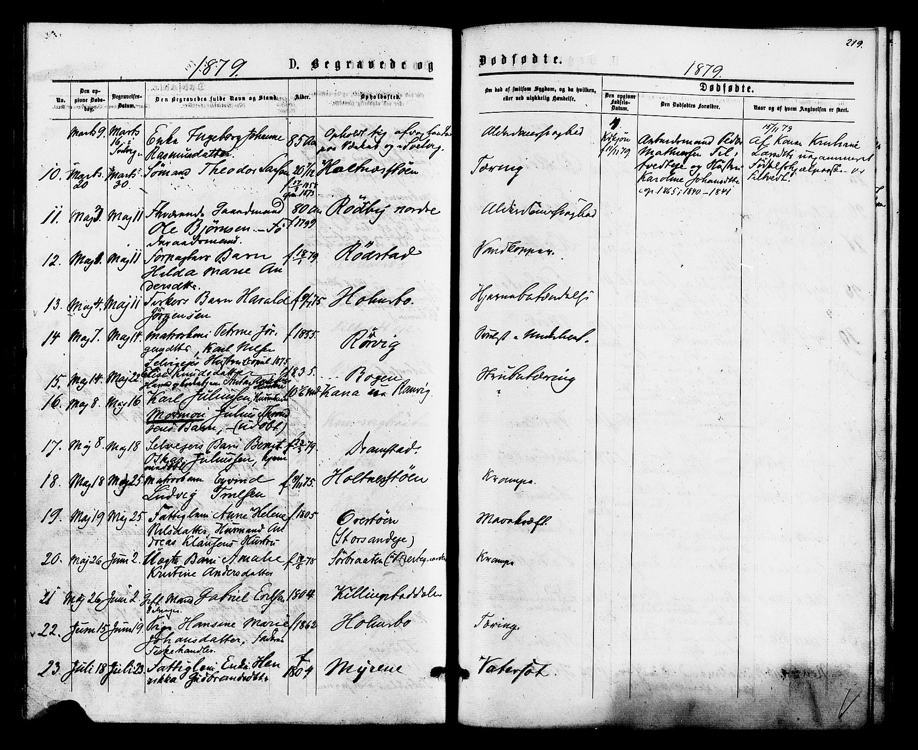 Hurum kirkebøker, AV/SAKO-A-229/F/Fa/L0013: Parish register (official) no. 13, 1876-1881, p. 219