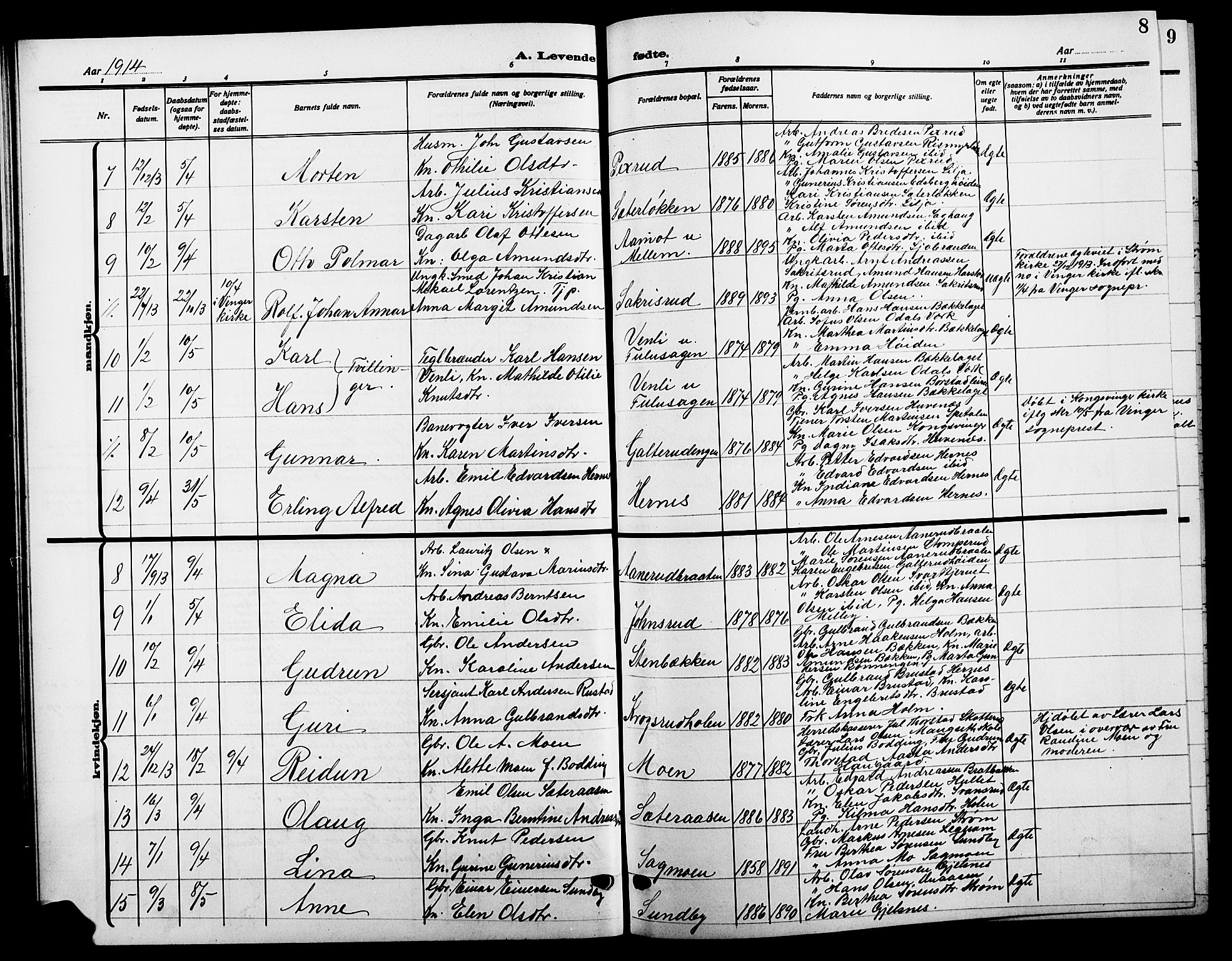 Sør-Odal prestekontor, AV/SAH-PREST-030/H/Ha/Hab/L0008: Parish register (copy) no. 8, 1913-1923, p. 8