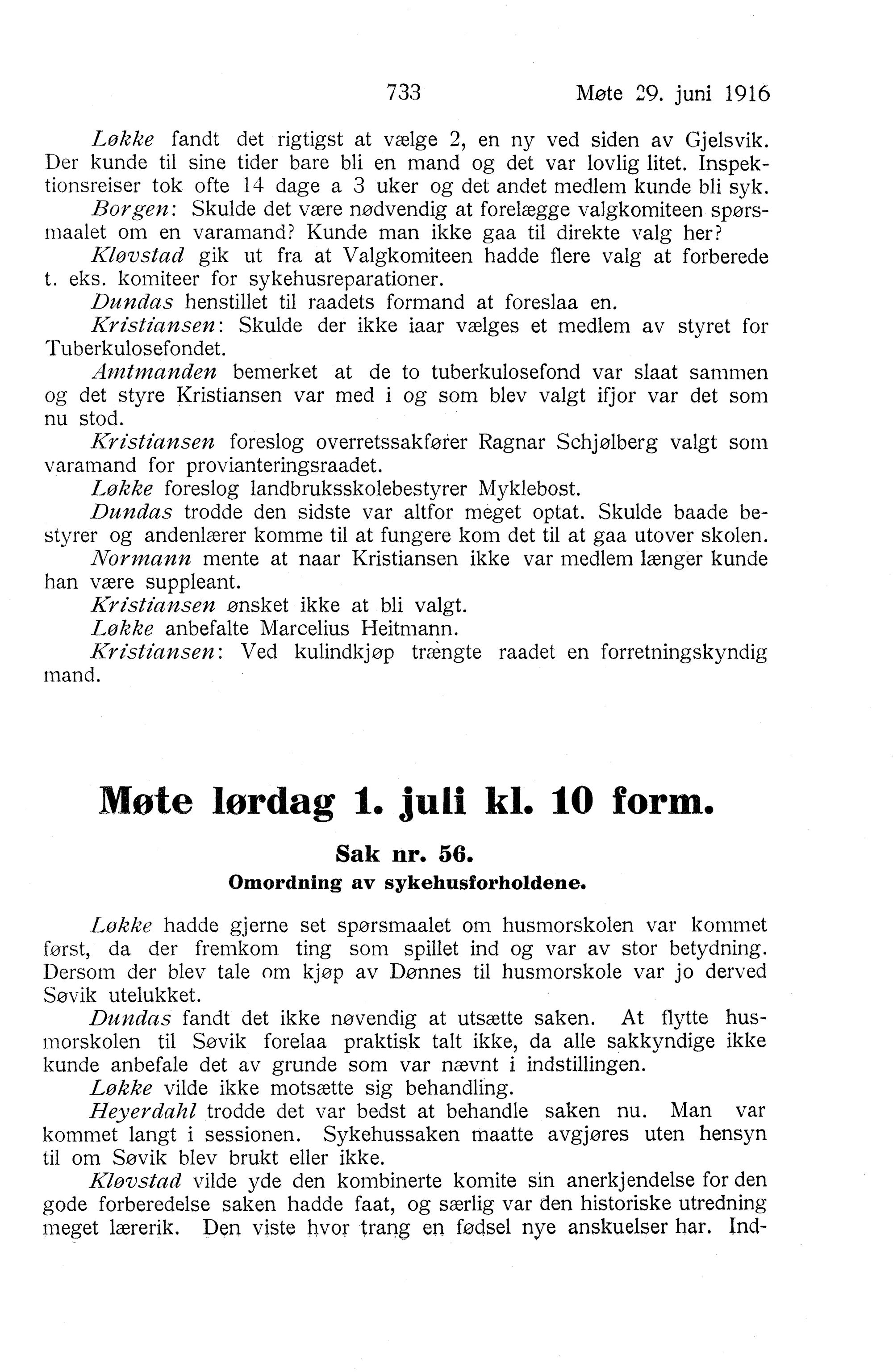 Nordland Fylkeskommune. Fylkestinget, AIN/NFK-17/176/A/Ac/L0039: Fylkestingsforhandlinger 1916, 1916, p. 733