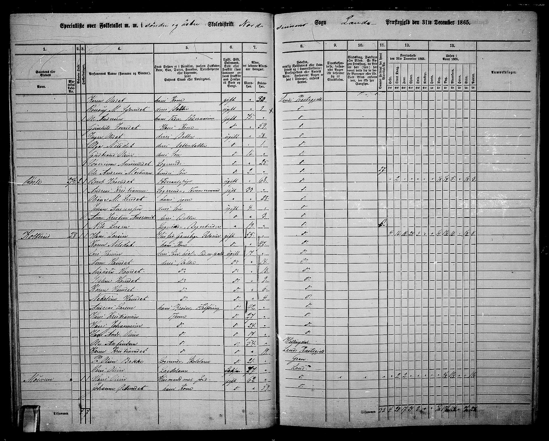 RA, 1865 census for Land, 1865, p. 50