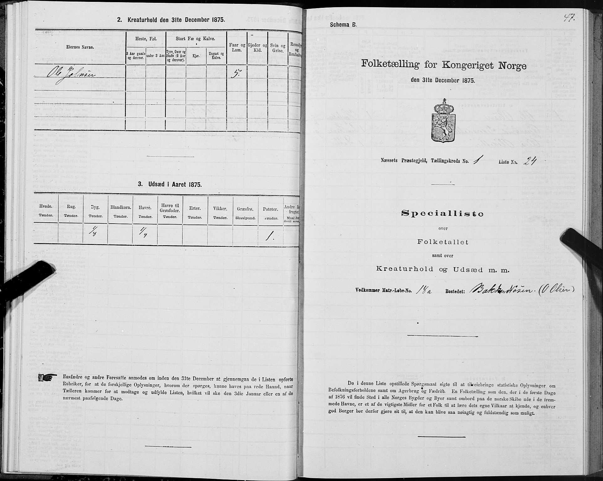 SAT, 1875 census for 1543P Nesset, 1875, p. 1047