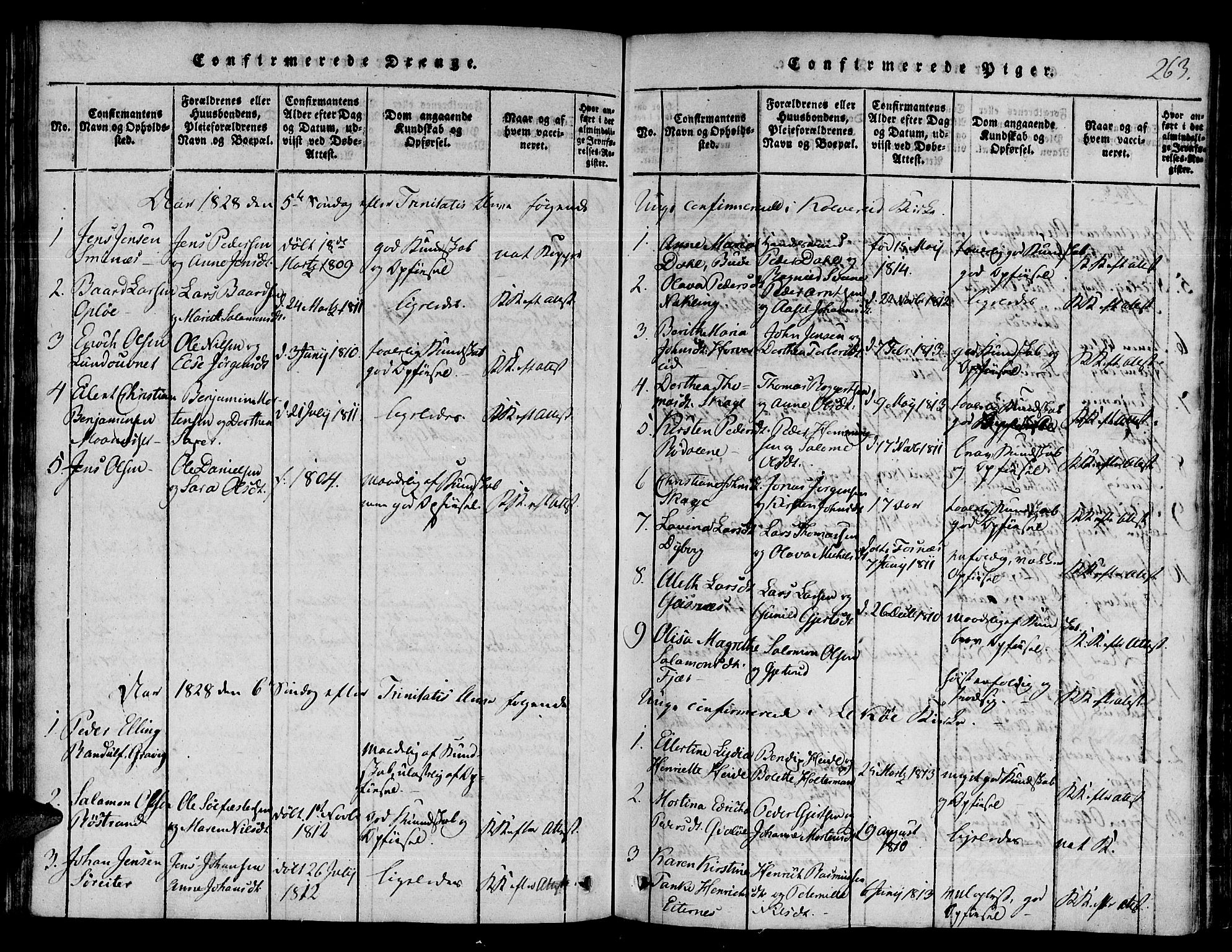 Ministerialprotokoller, klokkerbøker og fødselsregistre - Nord-Trøndelag, SAT/A-1458/780/L0636: Parish register (official) no. 780A03 /1, 1815-1830, p. 263