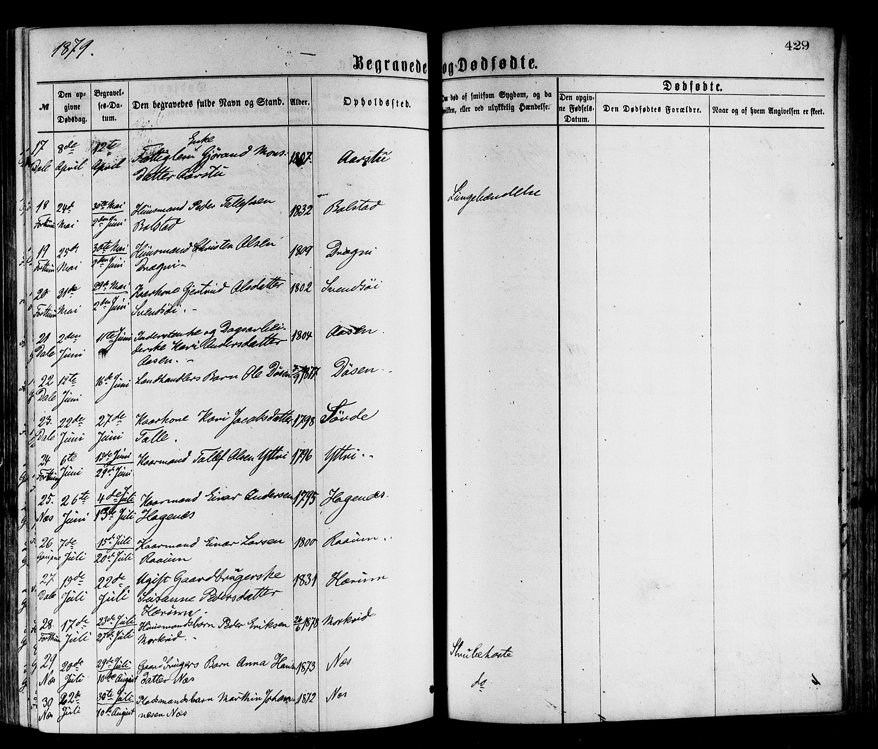 Luster sokneprestembete, AV/SAB-A-81101/H/Haa/Haaa/L0010: Parish register (official) no. A 10, 1871-1886, p. 429