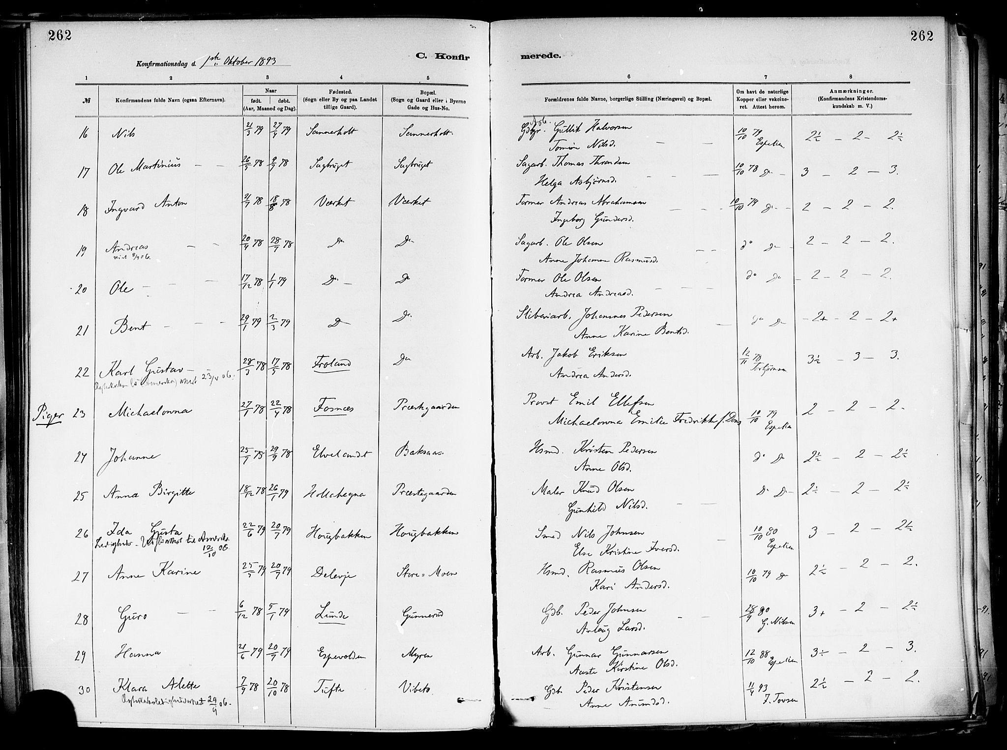 Holla kirkebøker, AV/SAKO-A-272/F/Fa/L0008: Parish register (official) no. 8, 1882-1897, p. 262