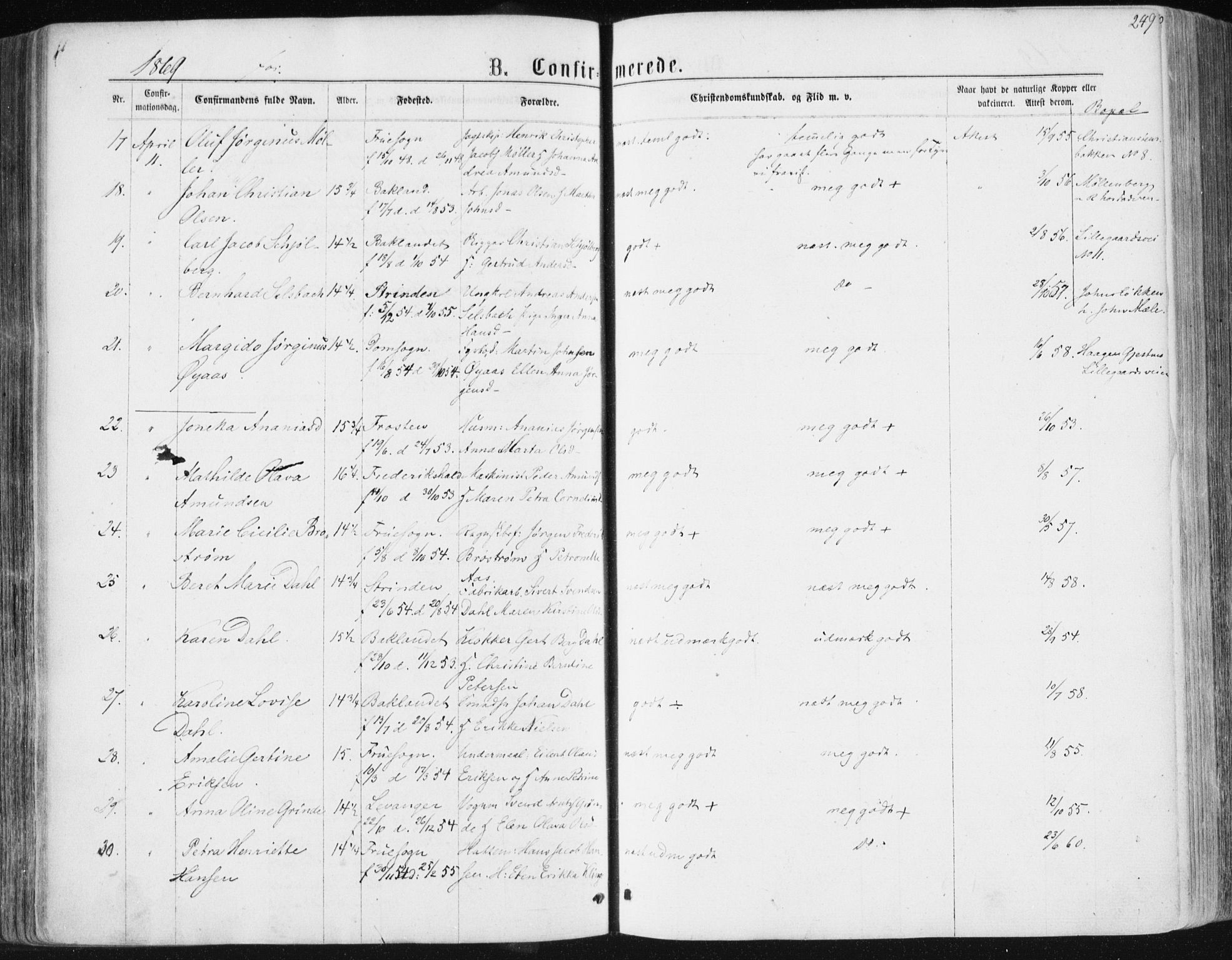 Ministerialprotokoller, klokkerbøker og fødselsregistre - Sør-Trøndelag, AV/SAT-A-1456/604/L0186: Parish register (official) no. 604A07, 1866-1877, p. 249