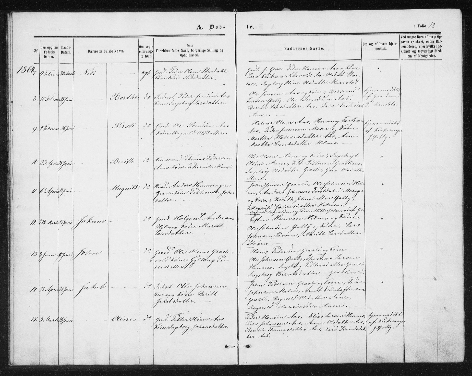 Ministerialprotokoller, klokkerbøker og fødselsregistre - Sør-Trøndelag, SAT/A-1456/698/L1166: Parish register (copy) no. 698C03, 1861-1887, p. 12