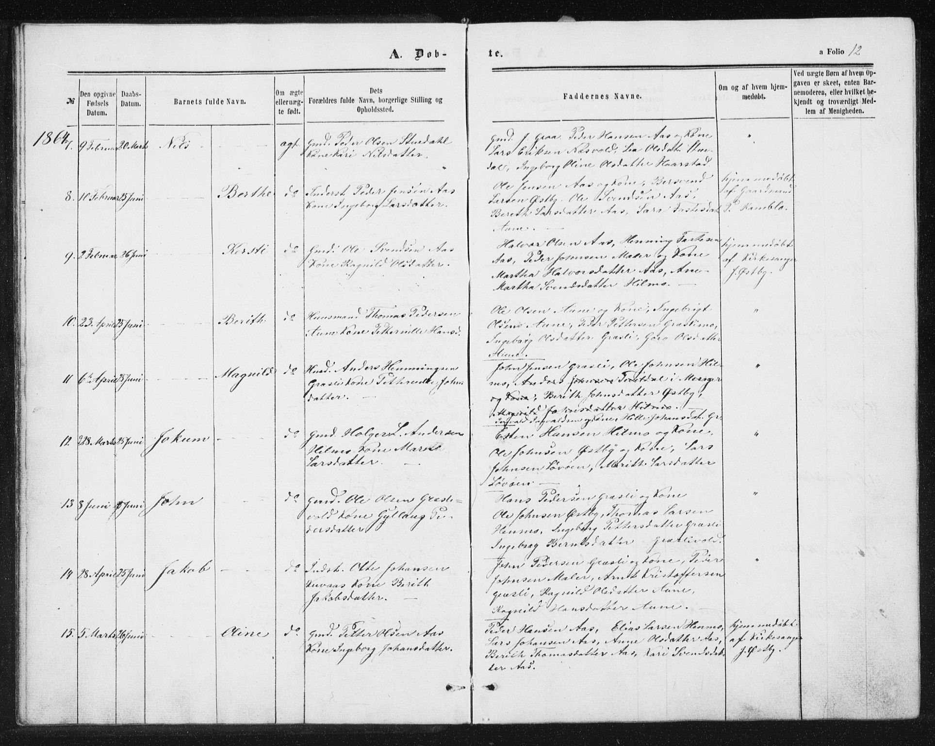 Ministerialprotokoller, klokkerbøker og fødselsregistre - Sør-Trøndelag, AV/SAT-A-1456/698/L1166: Parish register (copy) no. 698C03, 1861-1887, p. 12