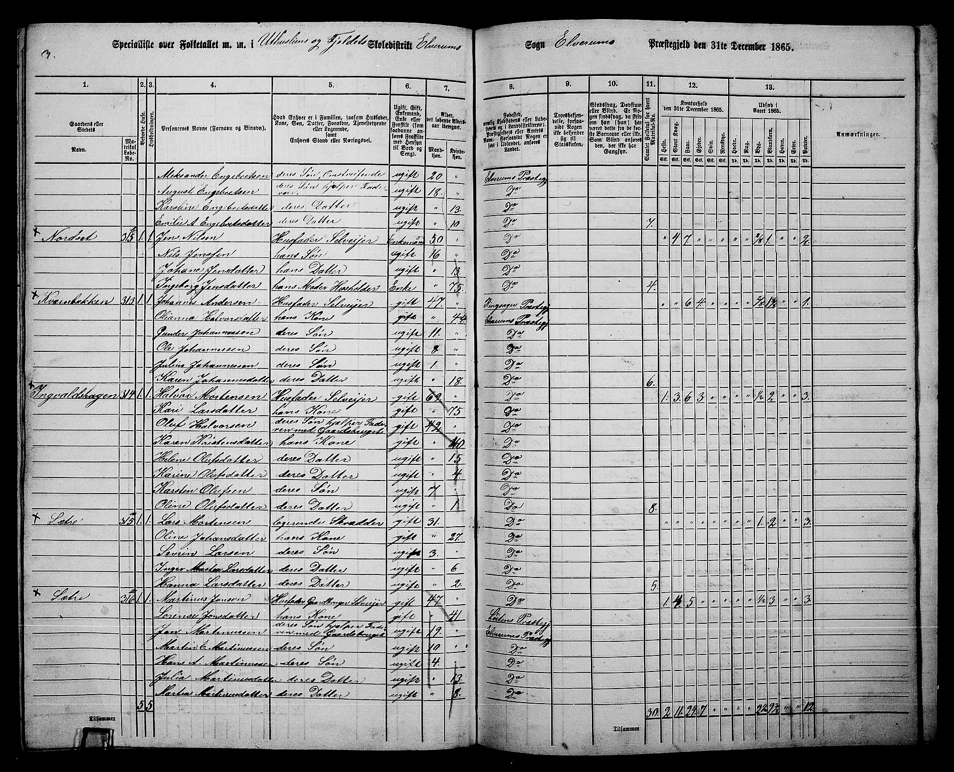 RA, 1865 census for Elverum, 1865, p. 251