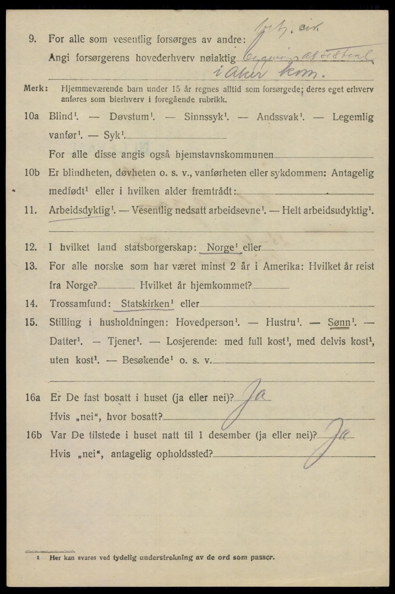 SAO, 1920 census for Aker, 1920, p. 51355