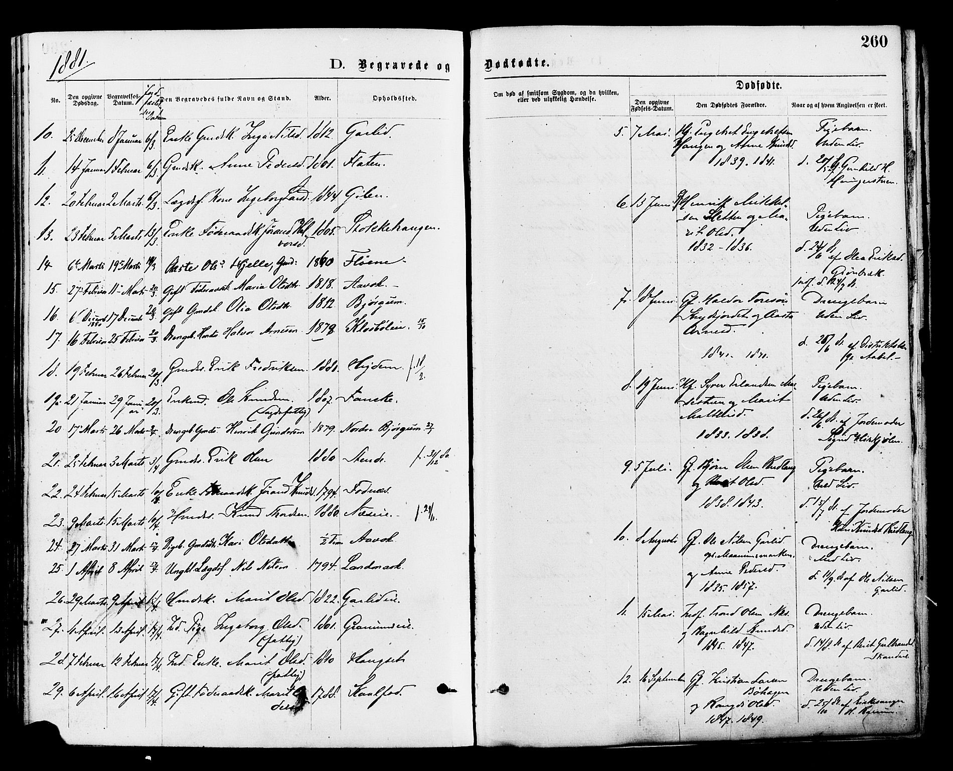 Nord-Aurdal prestekontor, SAH/PREST-132/H/Ha/Haa/L0009: Parish register (official) no. 9, 1876-1882, p. 260