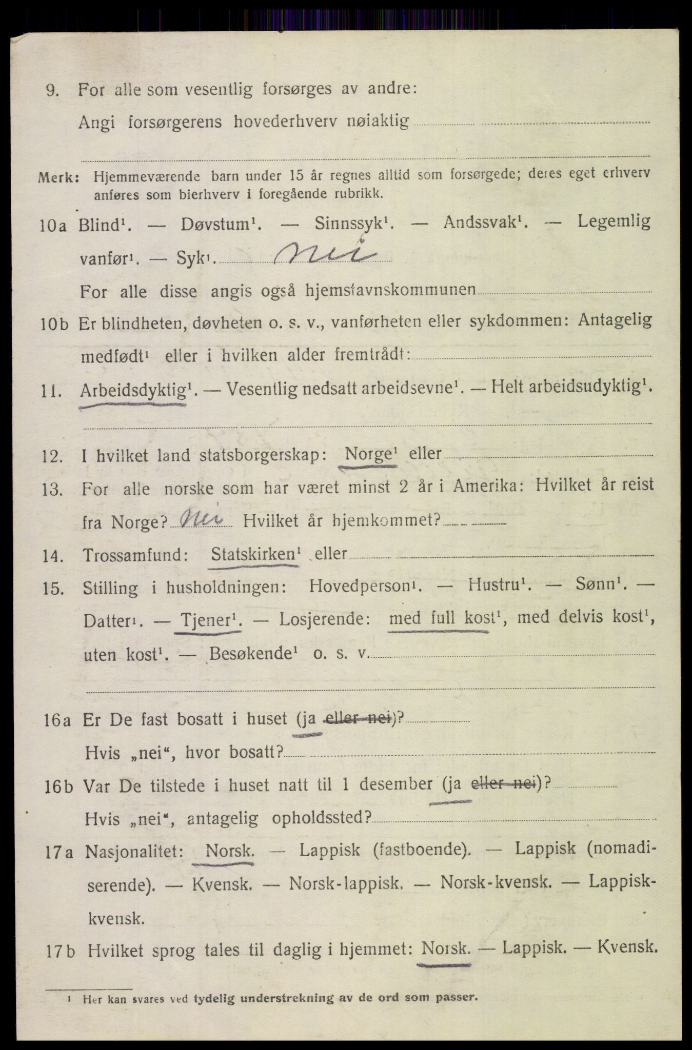 SAT, 1920 census for Bodin, 1920, p. 6873