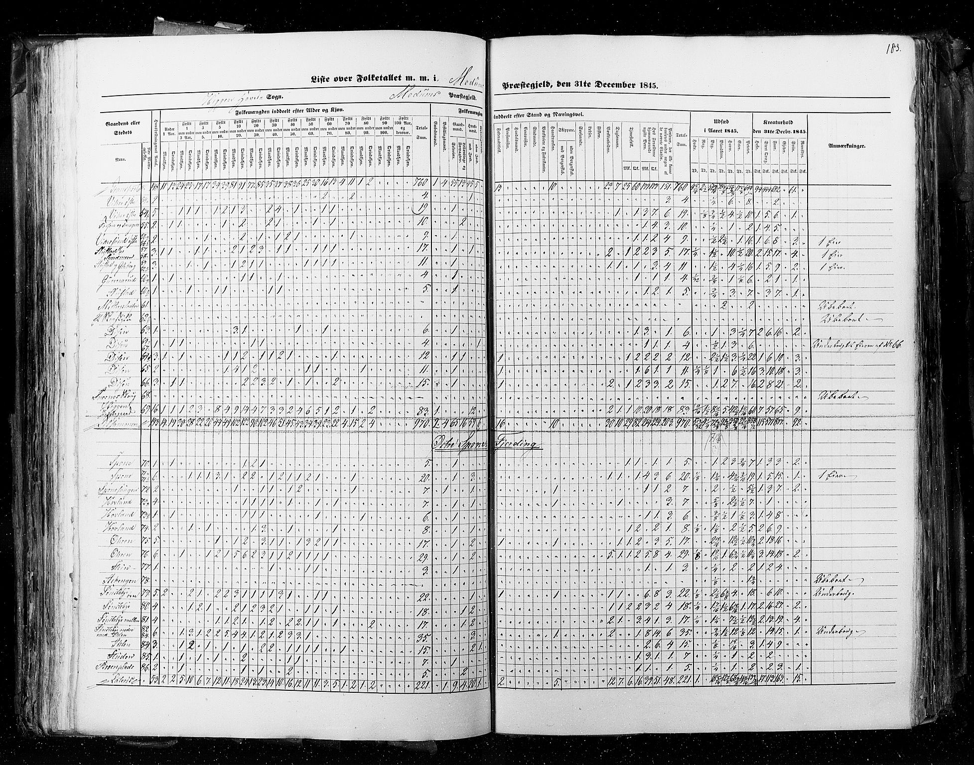 RA, Census 1845, vol. 4: Buskerud amt og Jarlsberg og Larvik amt, 1845, p. 183