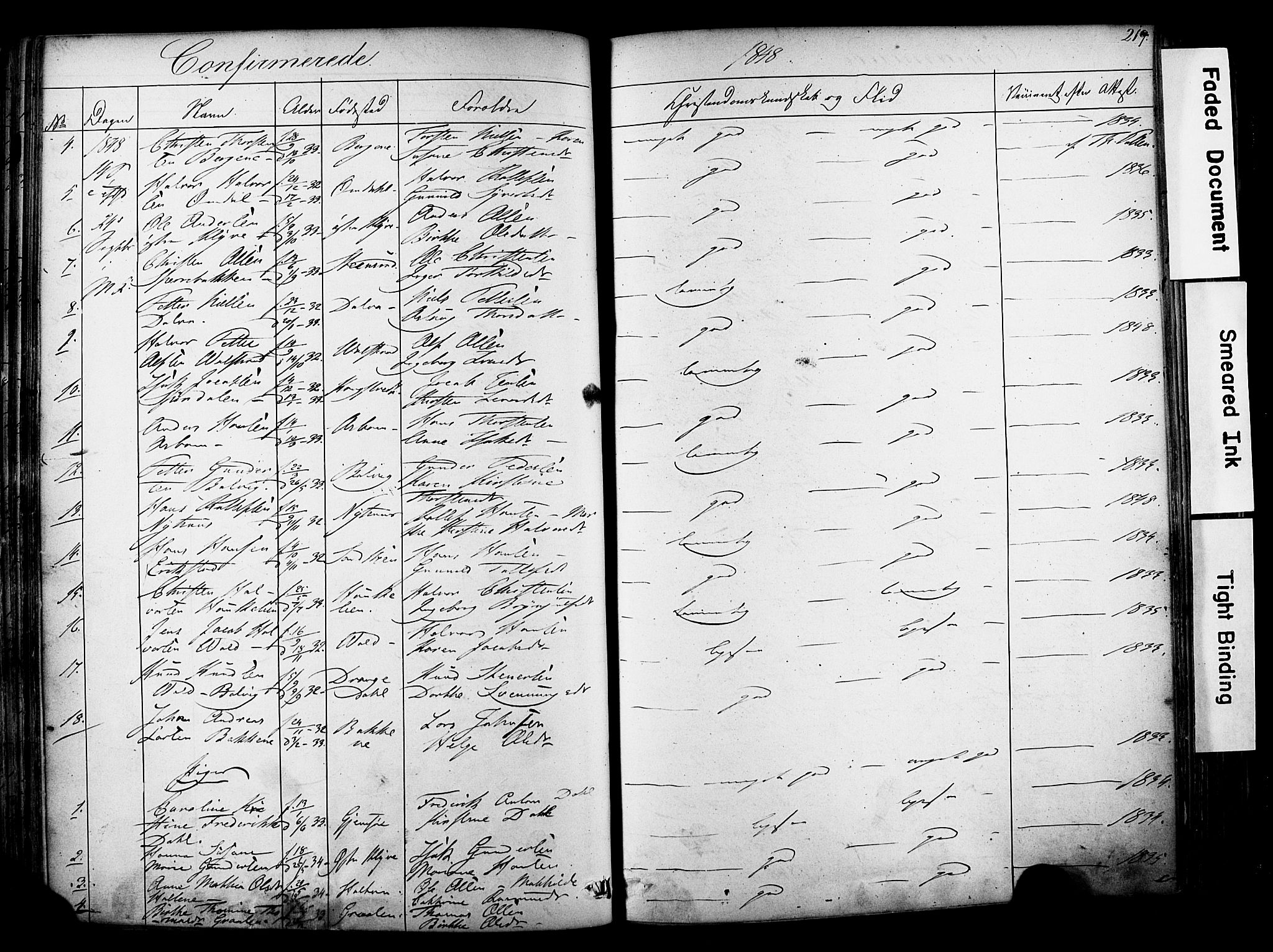 Solum kirkebøker, AV/SAKO-A-306/F/Fa/L0006: Parish register (official) no. I 6, 1844-1855, p. 219