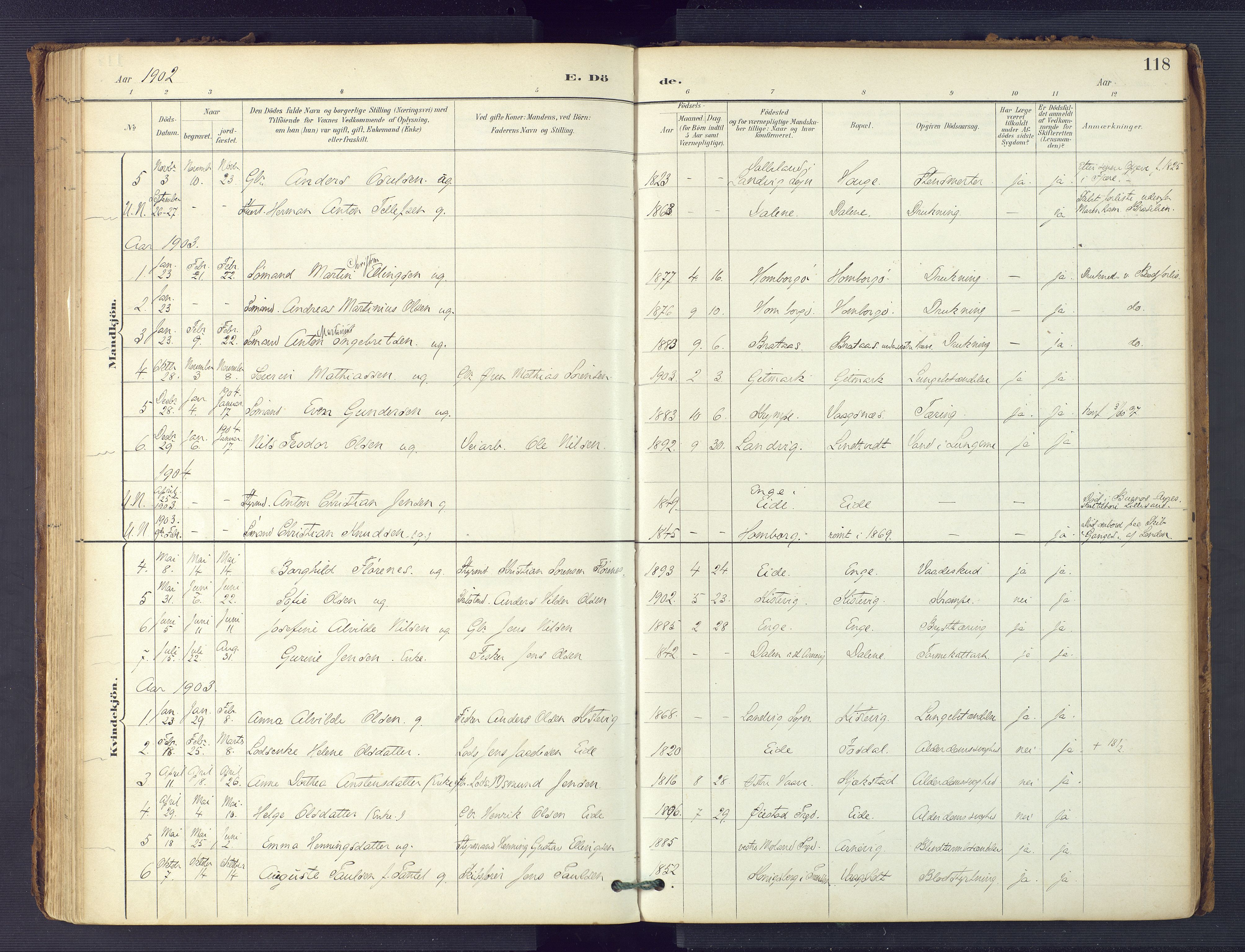 Hommedal sokneprestkontor, SAK/1111-0023/F/Fa/Faa/L0003: Parish register (official) no. A 3, 1885-1916, p. 118