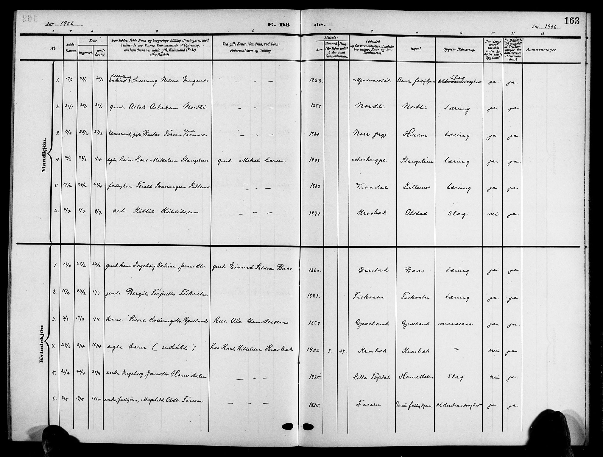 Åmli sokneprestkontor, SAK/1111-0050/F/Fb/Fbc/L0005: Parish register (copy) no. B 5, 1903-1916, p. 163
