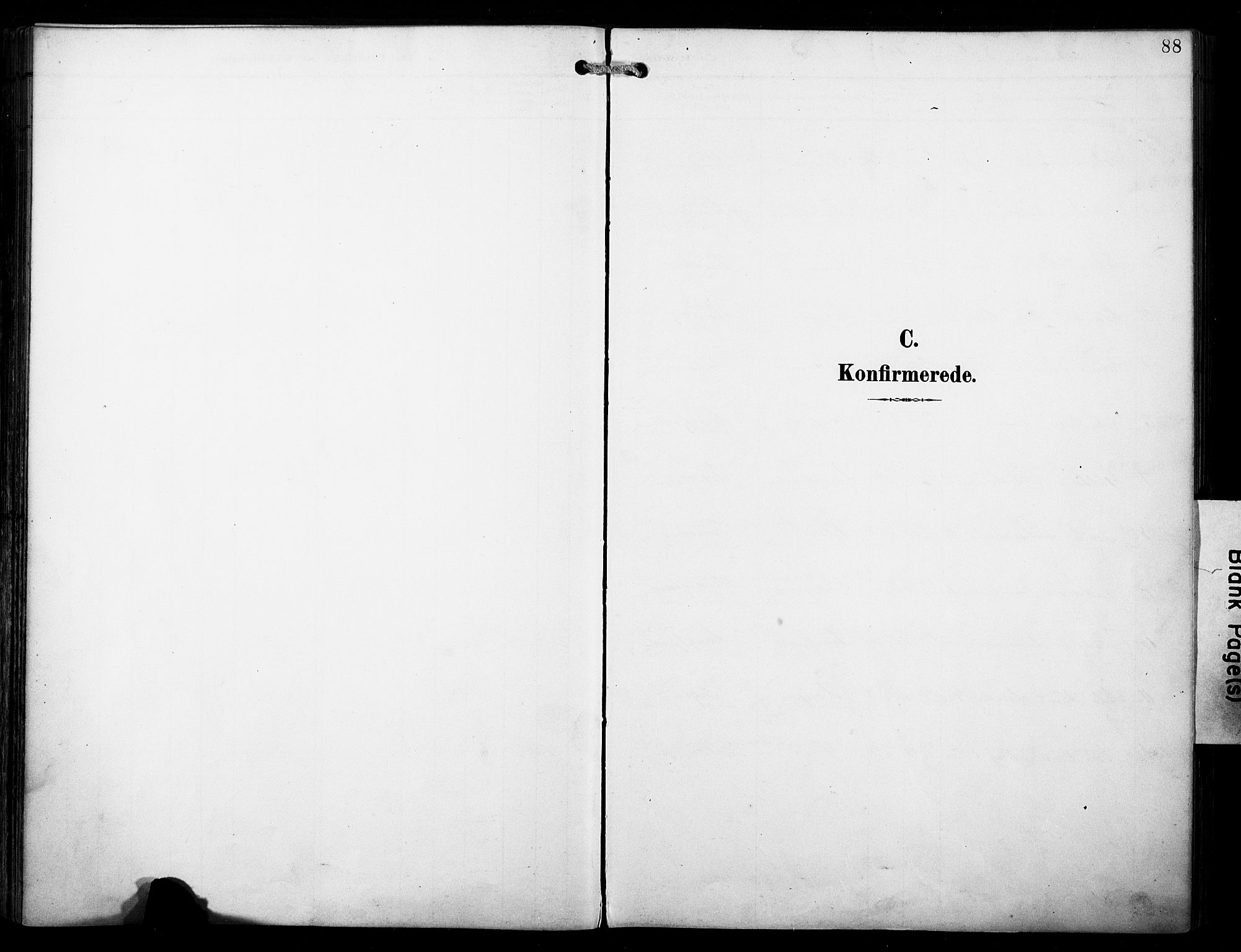 Loppa sokneprestkontor, SATØ/S-1339/H/Ha/L0009kirke: Parish register (official) no. 9, 1895-1909, p. 88