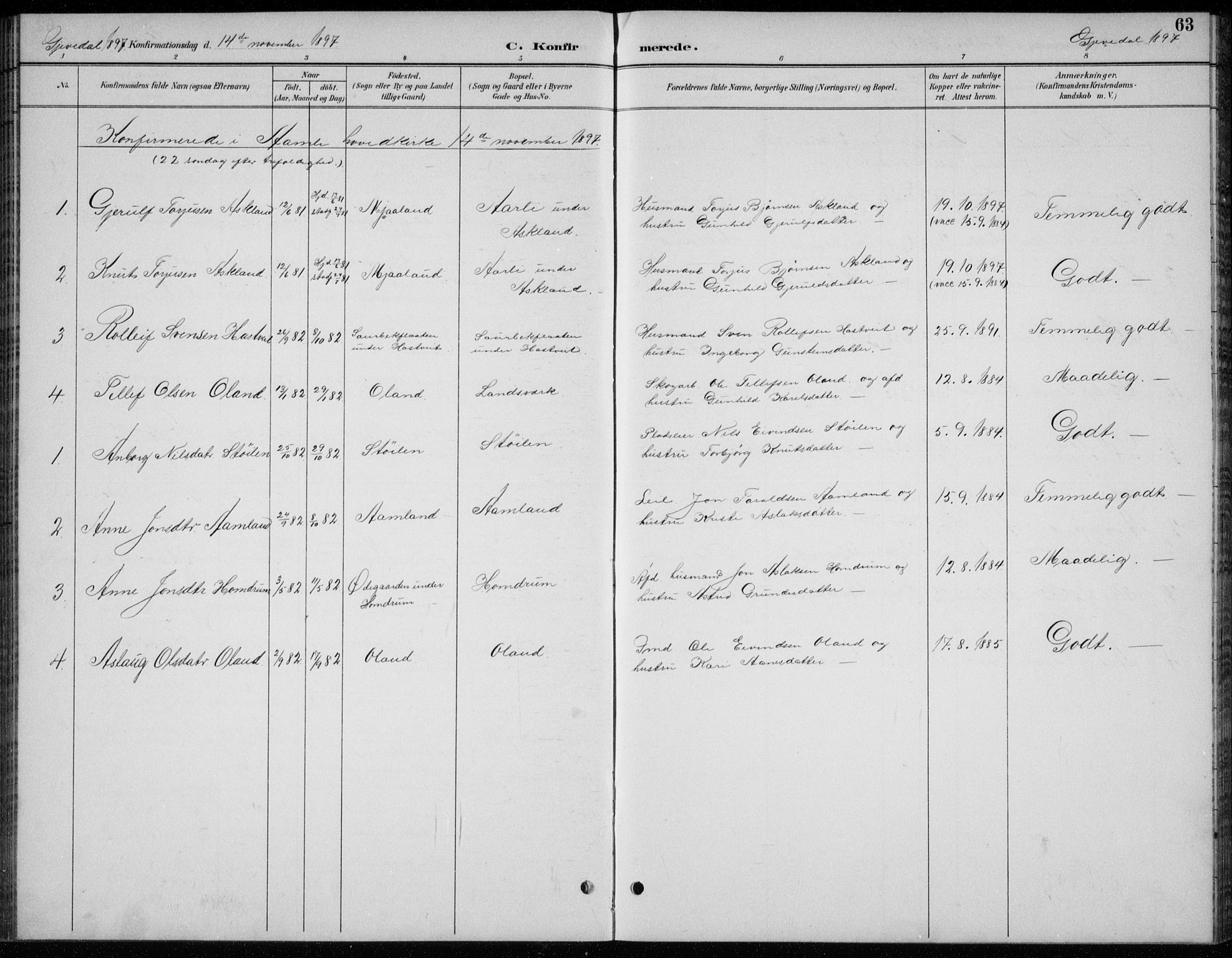 Åmli sokneprestkontor, AV/SAK-1111-0050/F/Fb/Fba/L0002: Parish register (copy) no. B 2, 1890-1912, p. 63