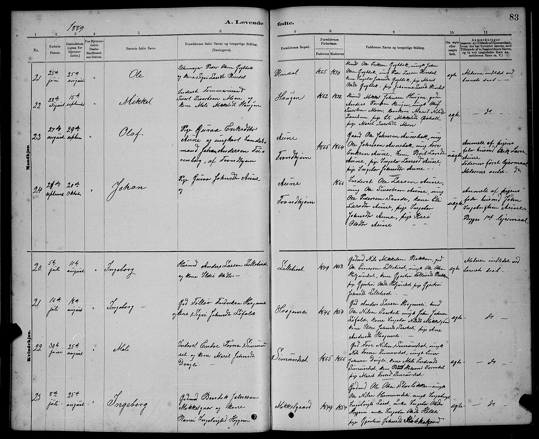 Ministerialprotokoller, klokkerbøker og fødselsregistre - Møre og Romsdal, AV/SAT-A-1454/598/L1077: Parish register (copy) no. 598C02, 1879-1891, p. 83