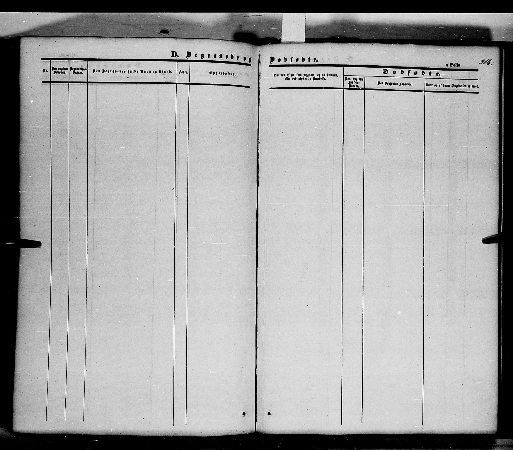 Våler prestekontor, Hedmark, AV/SAH-PREST-040/H/Ha/Haa/L0001: Parish register (official) no. 1, 1849-1878, p. 316