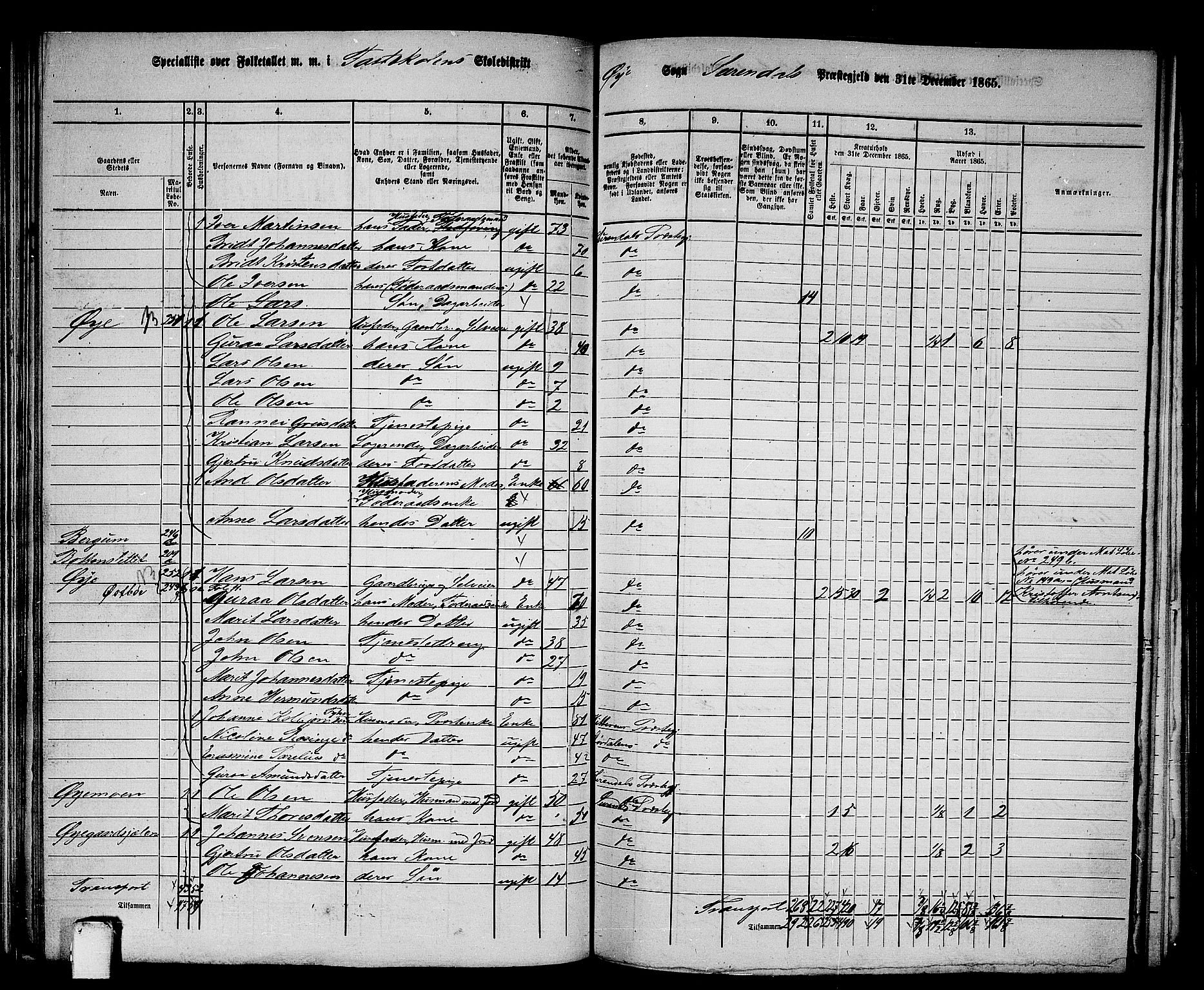 RA, 1865 census for Surnadal, 1865, p. 119