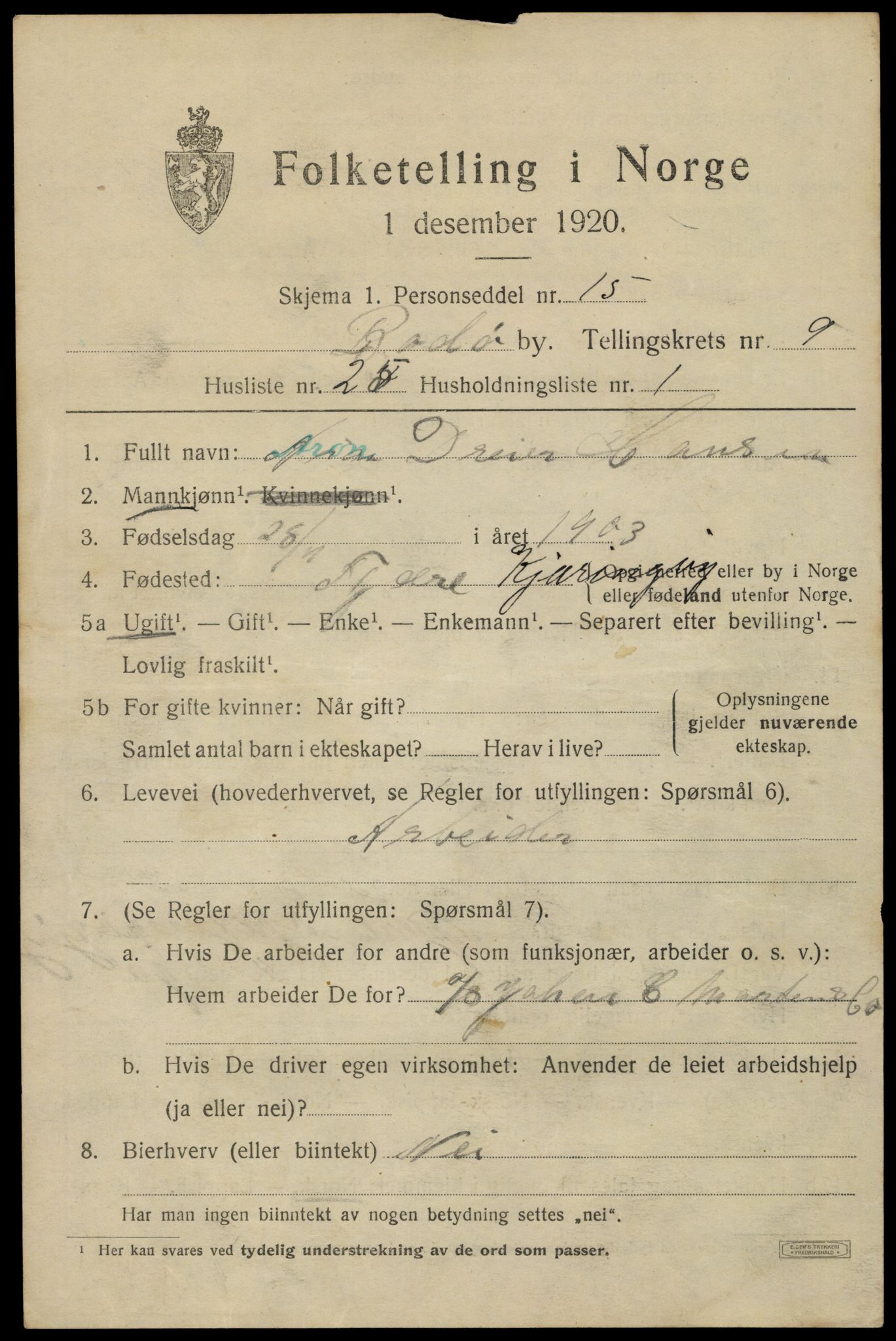 SAT, 1920 census for Bodø, 1920, p. 13325