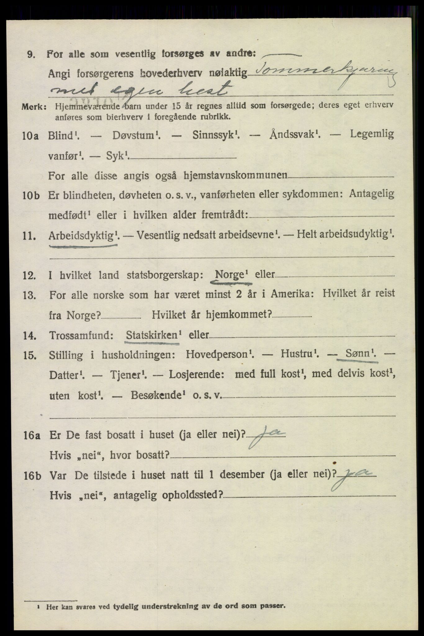 SAH, 1920 census for Trysil, 1920, p. 5382