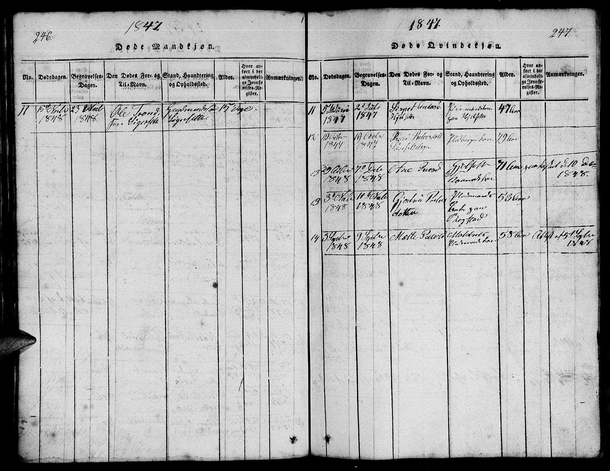 Ministerialprotokoller, klokkerbøker og fødselsregistre - Møre og Romsdal, AV/SAT-A-1454/555/L0665: Parish register (copy) no. 555C01, 1818-1868, p. 246-247