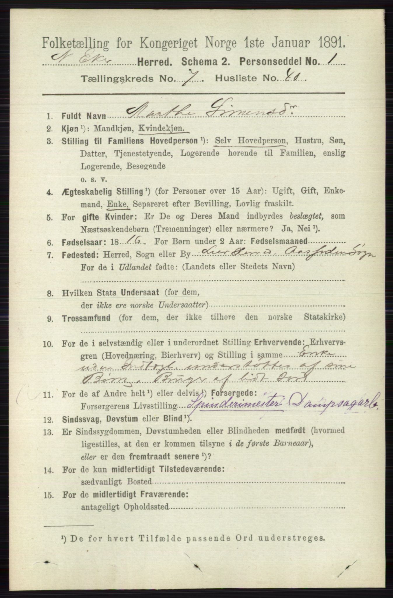 RA, 1891 census for 0625 Nedre Eiker, 1891, p. 3645