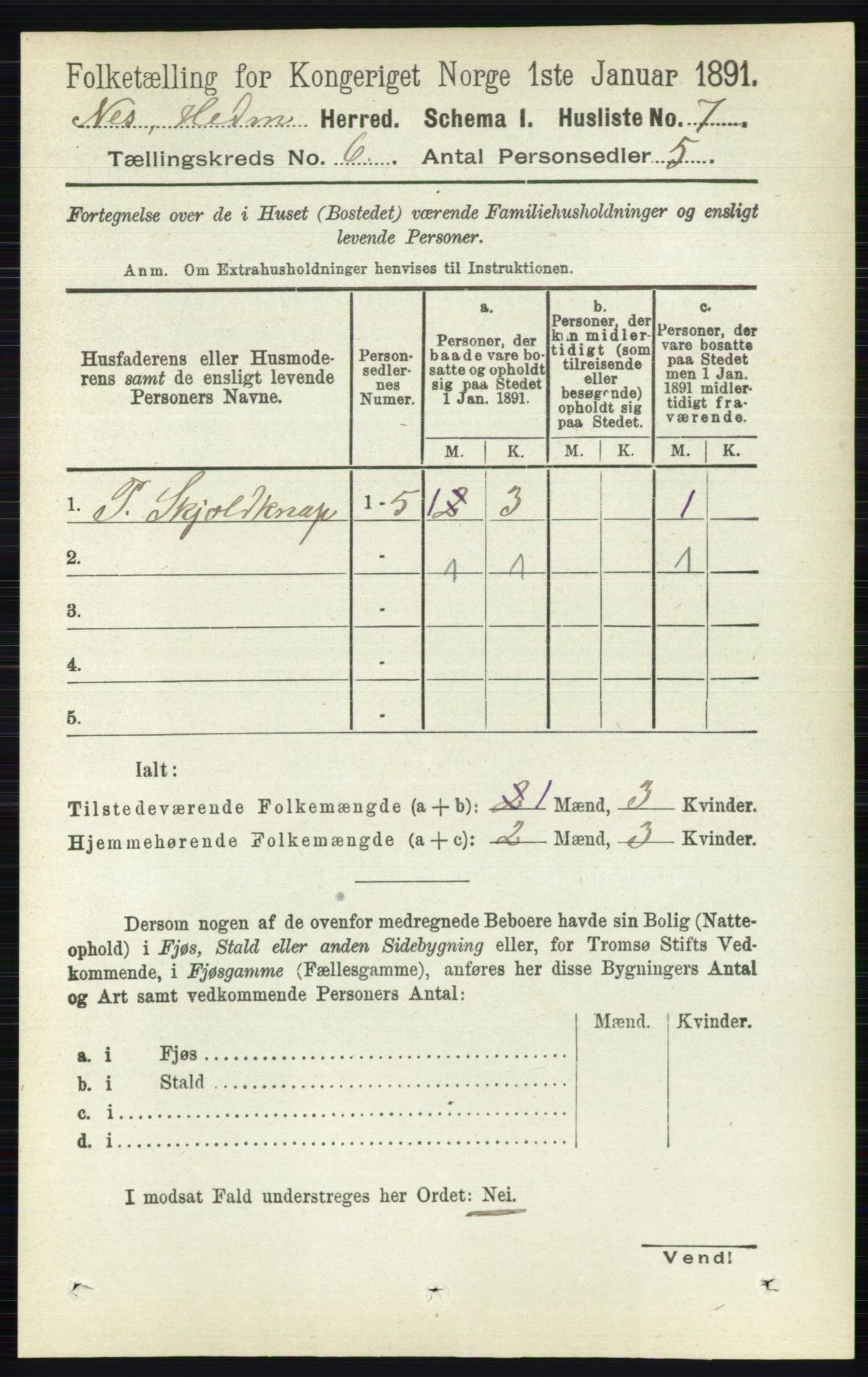 RA, 1891 census for 0411 Nes, 1891, p. 3175