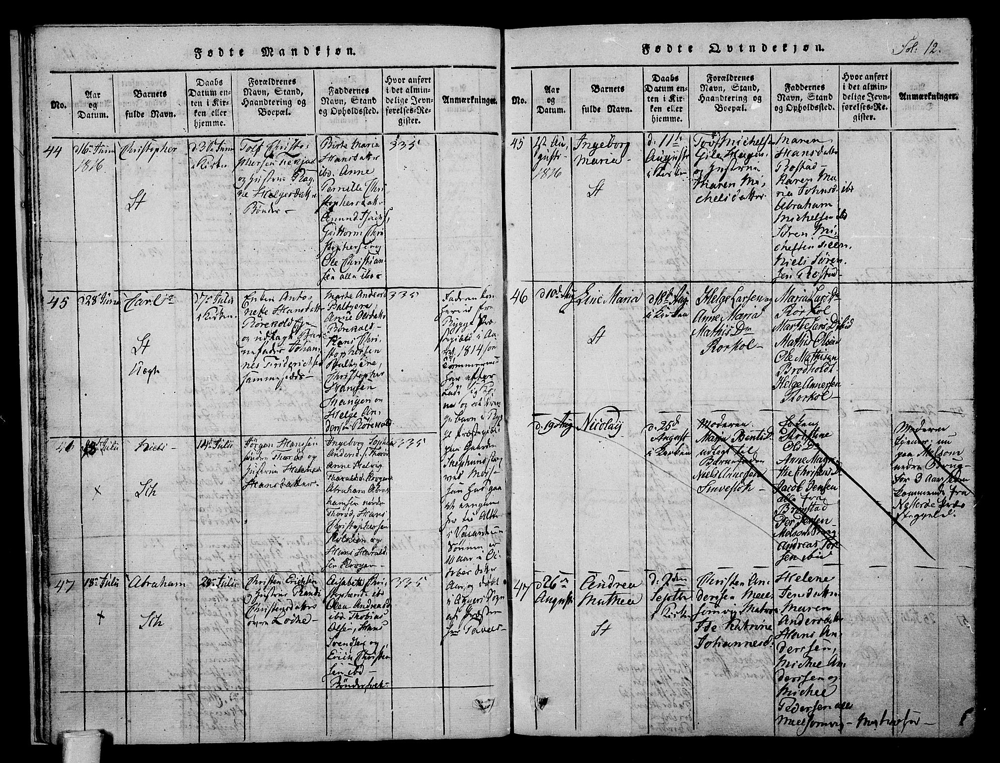 Stokke kirkebøker, AV/SAKO-A-320/F/Fa/L0005: Parish register (official) no. I 5, 1815-1826, p. 12