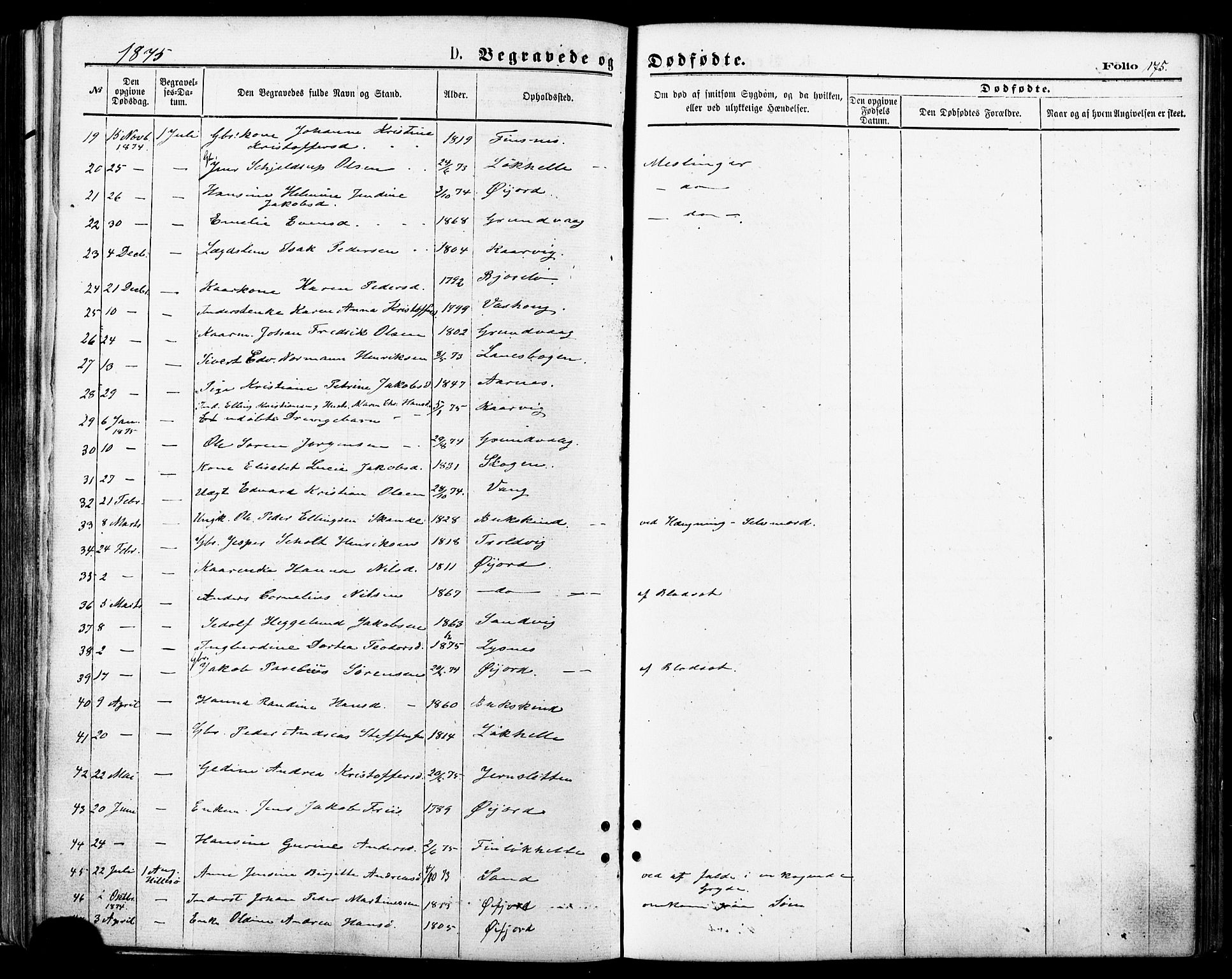 Lenvik sokneprestembete, SATØ/S-1310/H/Ha/Haa/L0010kirke: Parish register (official) no. 10, 1873-1880, p. 175