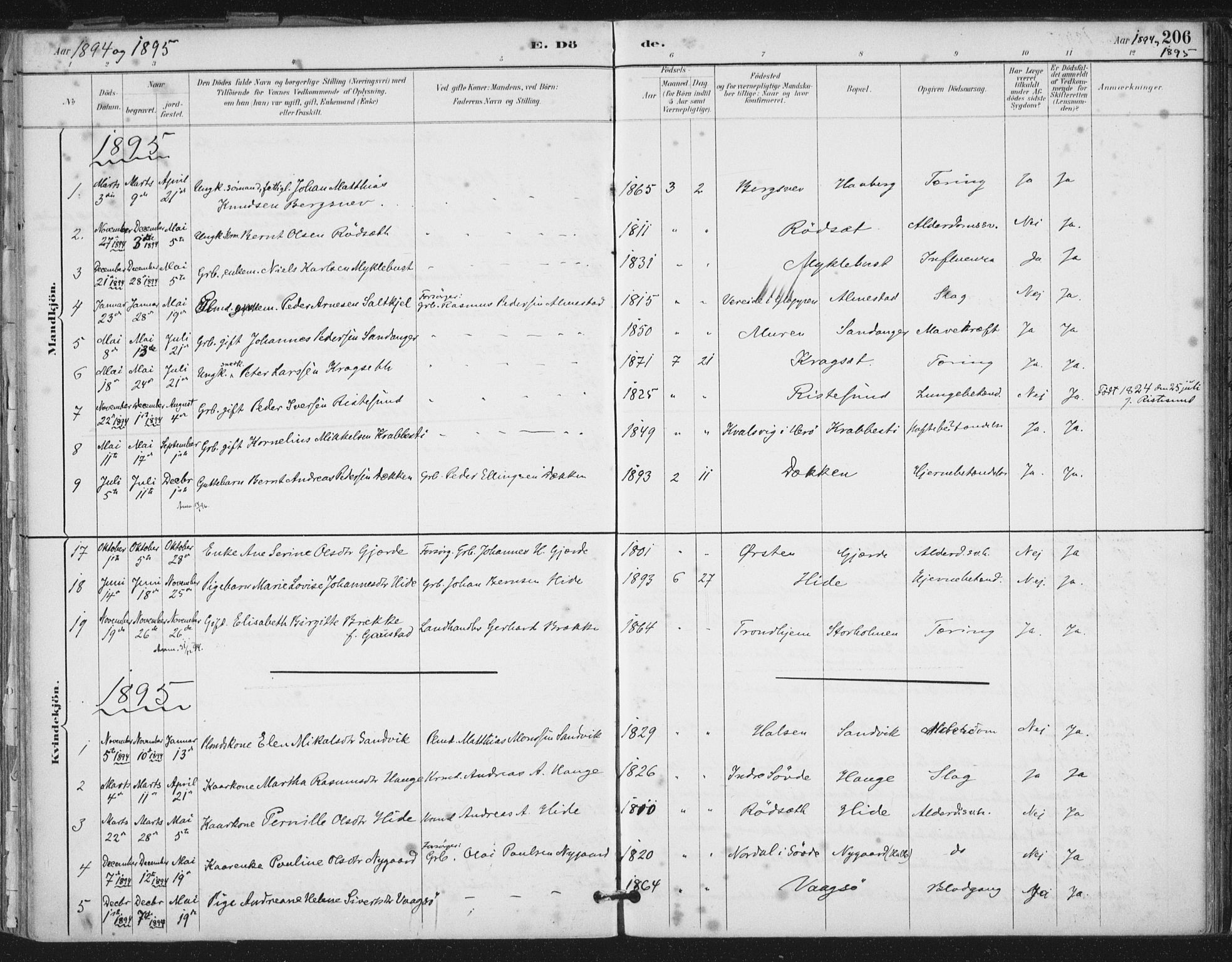 Ministerialprotokoller, klokkerbøker og fødselsregistre - Møre og Romsdal, SAT/A-1454/503/L0037: Parish register (official) no. 503A05, 1884-1900, p. 206