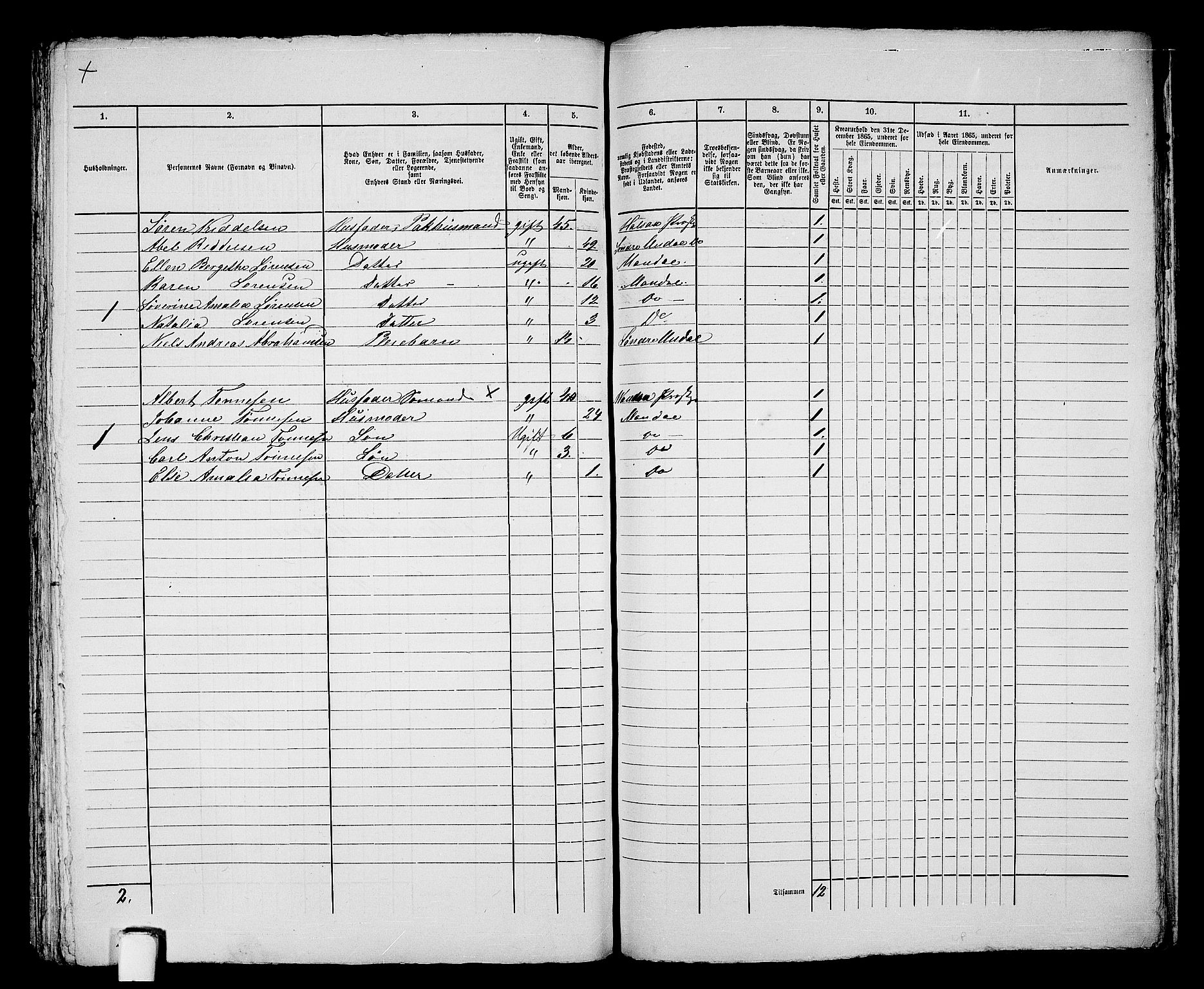 RA, 1865 census for Mandal/Mandal, 1865, p. 411