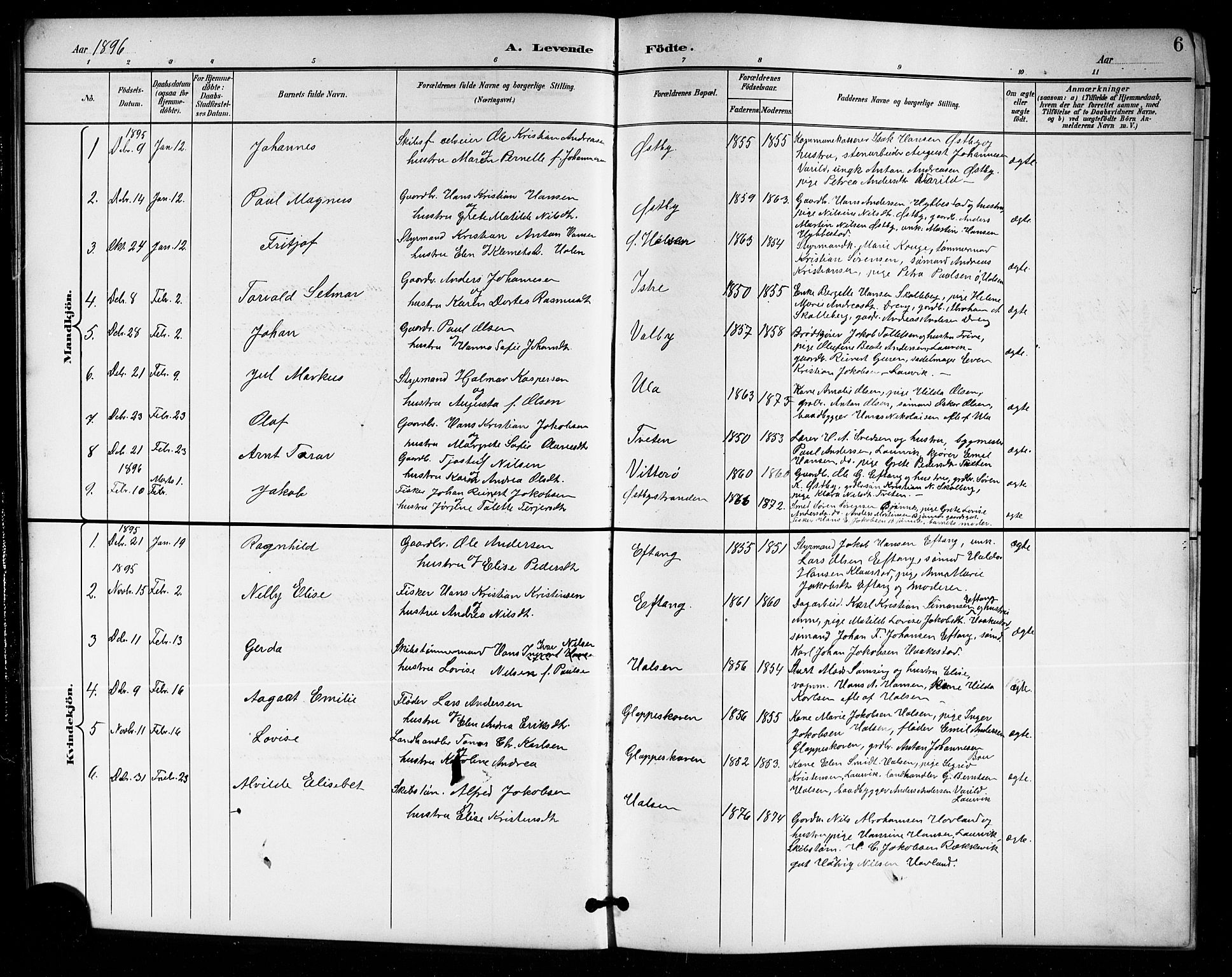 Tjølling kirkebøker, AV/SAKO-A-60/G/Ga/L0002: Parish register (copy) no. 2, 1895-1918, p. 6