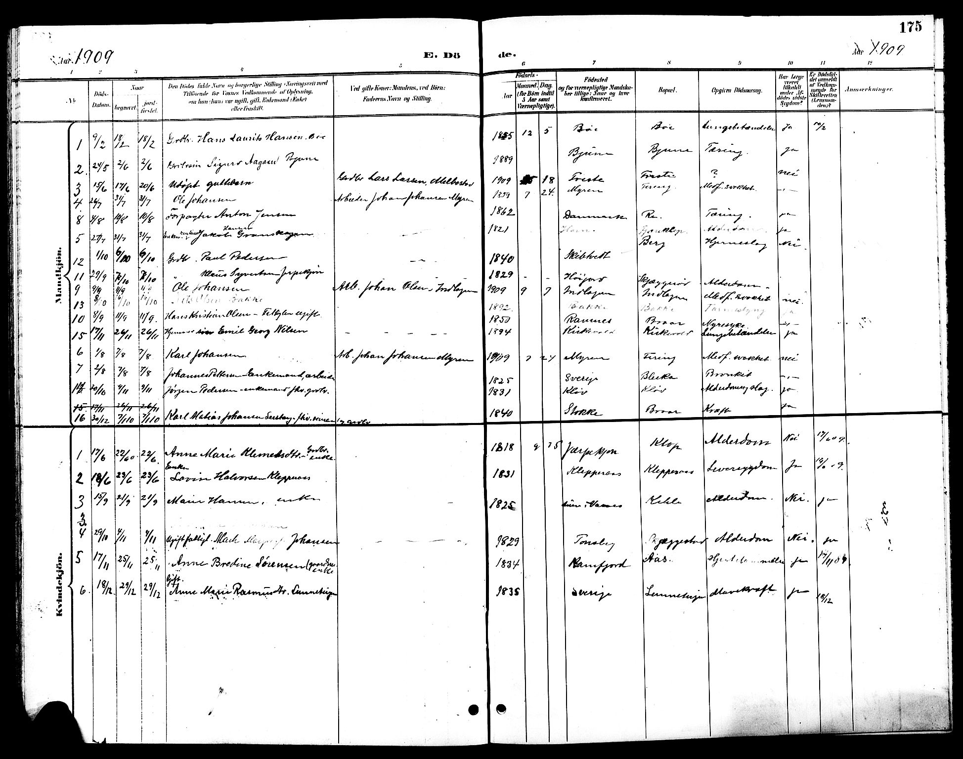 Ramnes kirkebøker, AV/SAKO-A-314/G/Ga/L0004: Parish register (copy) no. I 4, 1896-1911, p. 175