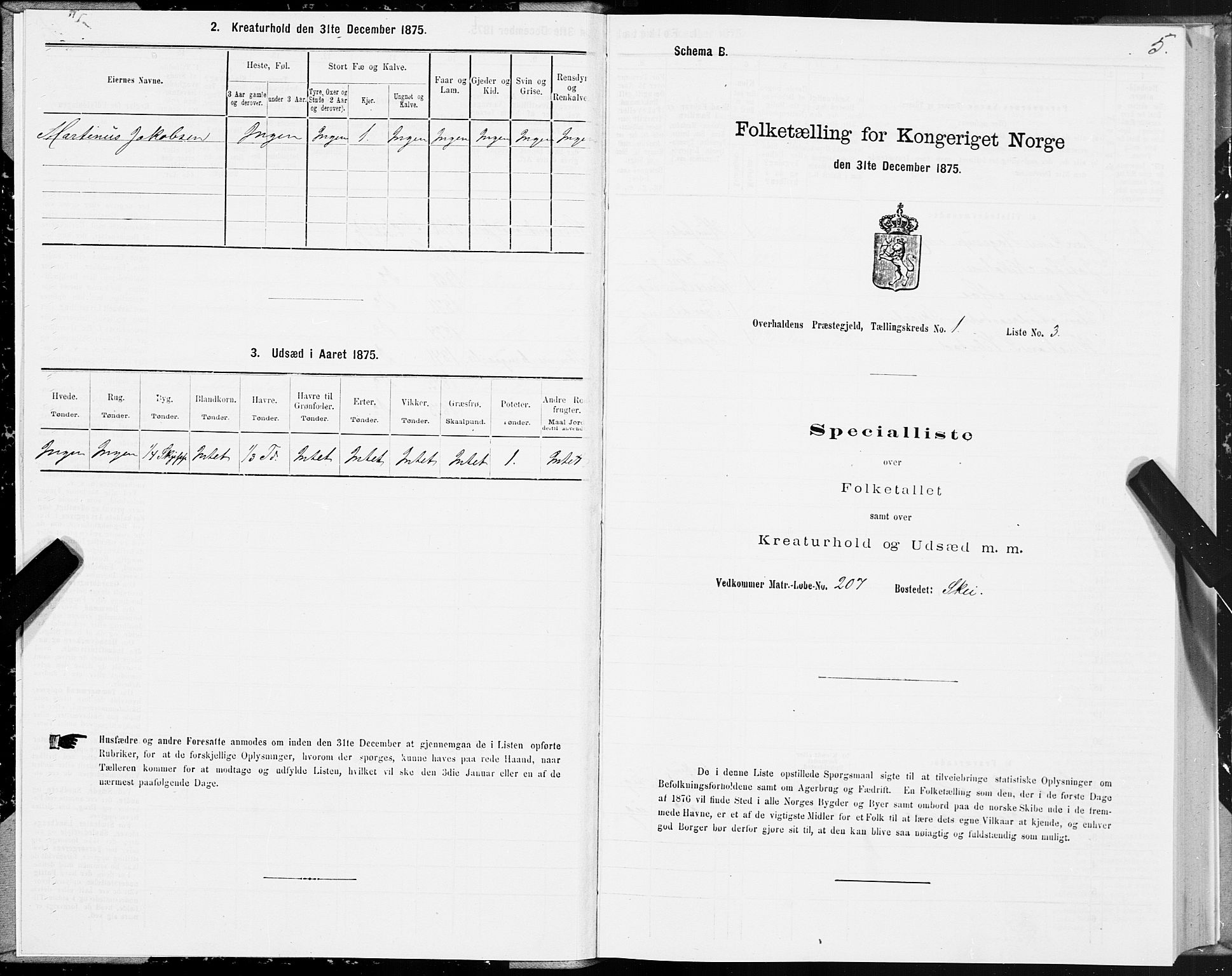 SAT, 1875 census for 1744P Overhalla, 1875, p. 1005