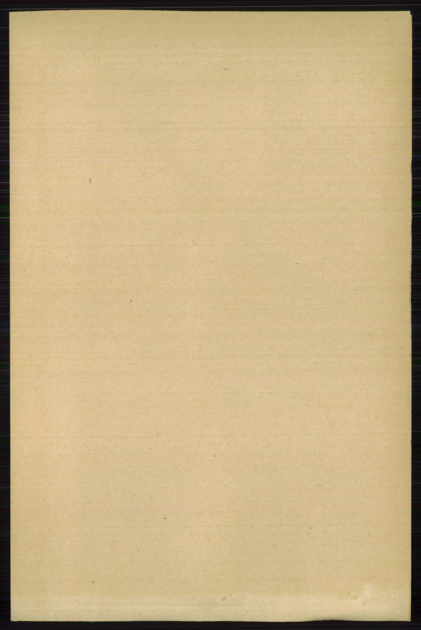 RA, 1891 census for 0625 Nedre Eiker, 1891, p. 2893