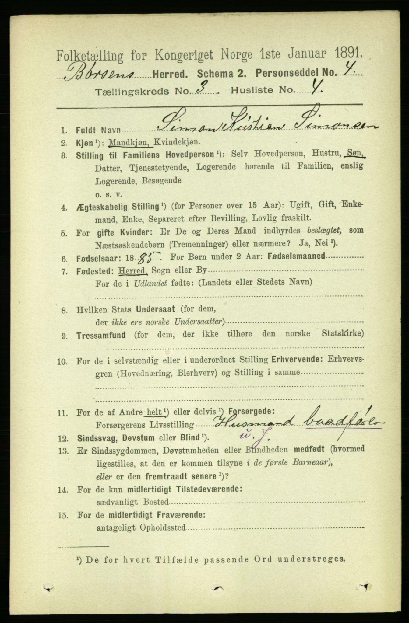 RA, 1891 census for 1658 Børsa, 1891, p. 891