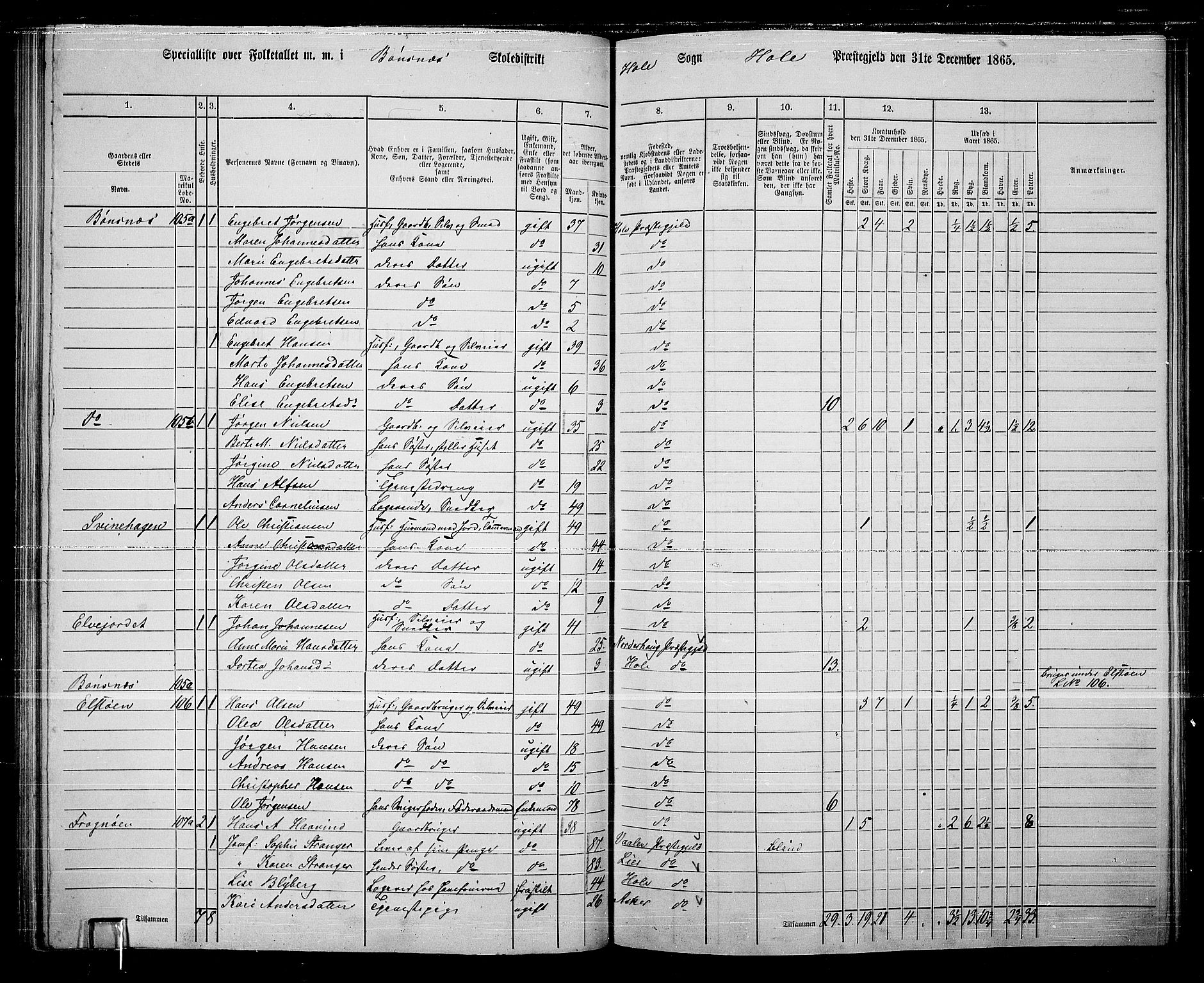 RA, 1865 census for Hole, 1865, p. 84