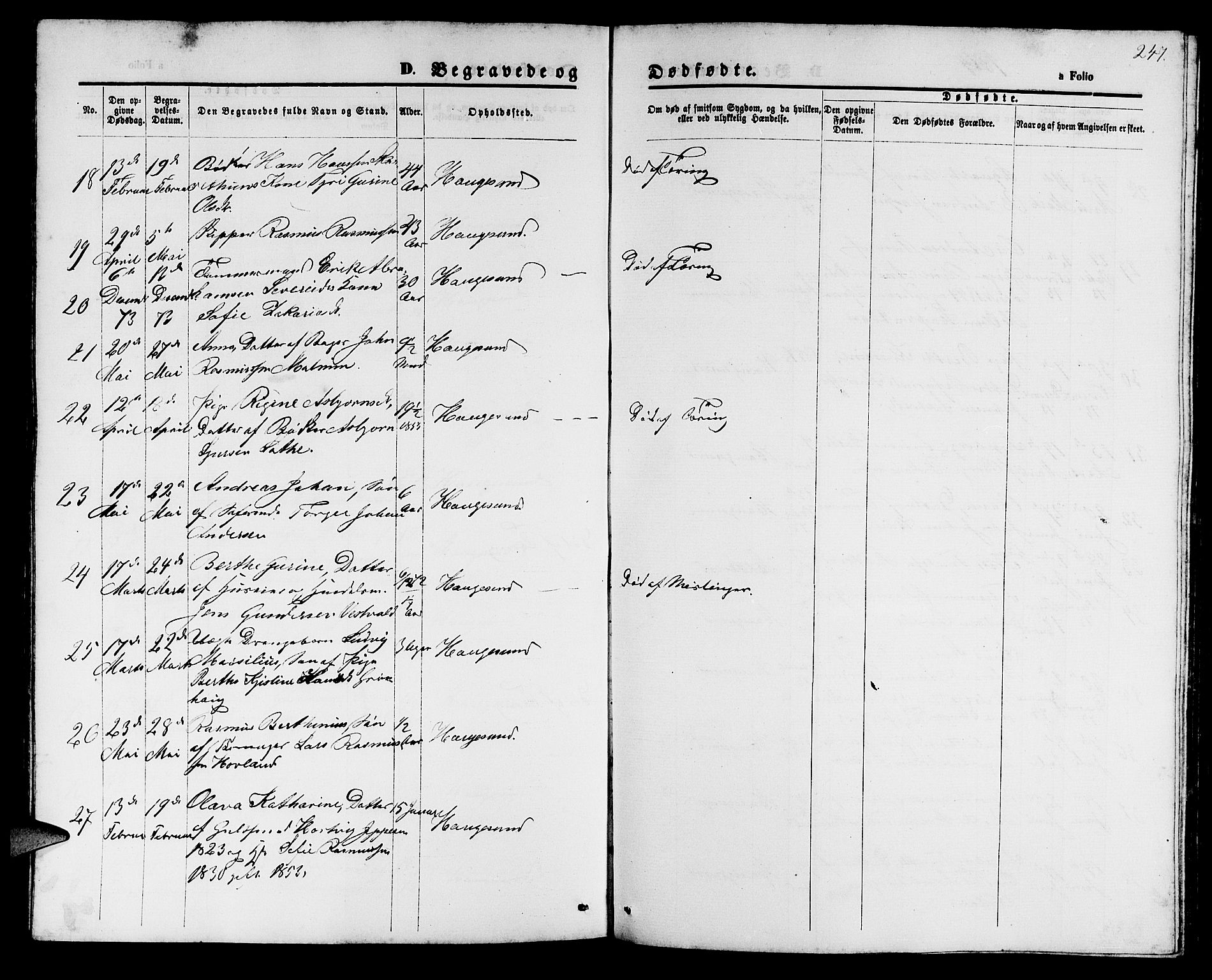 Haugesund sokneprestkontor, AV/SAST-A -101863/H/Ha/Hab/L0001: Parish register (copy) no. B 1, 1873-1881, p. 247