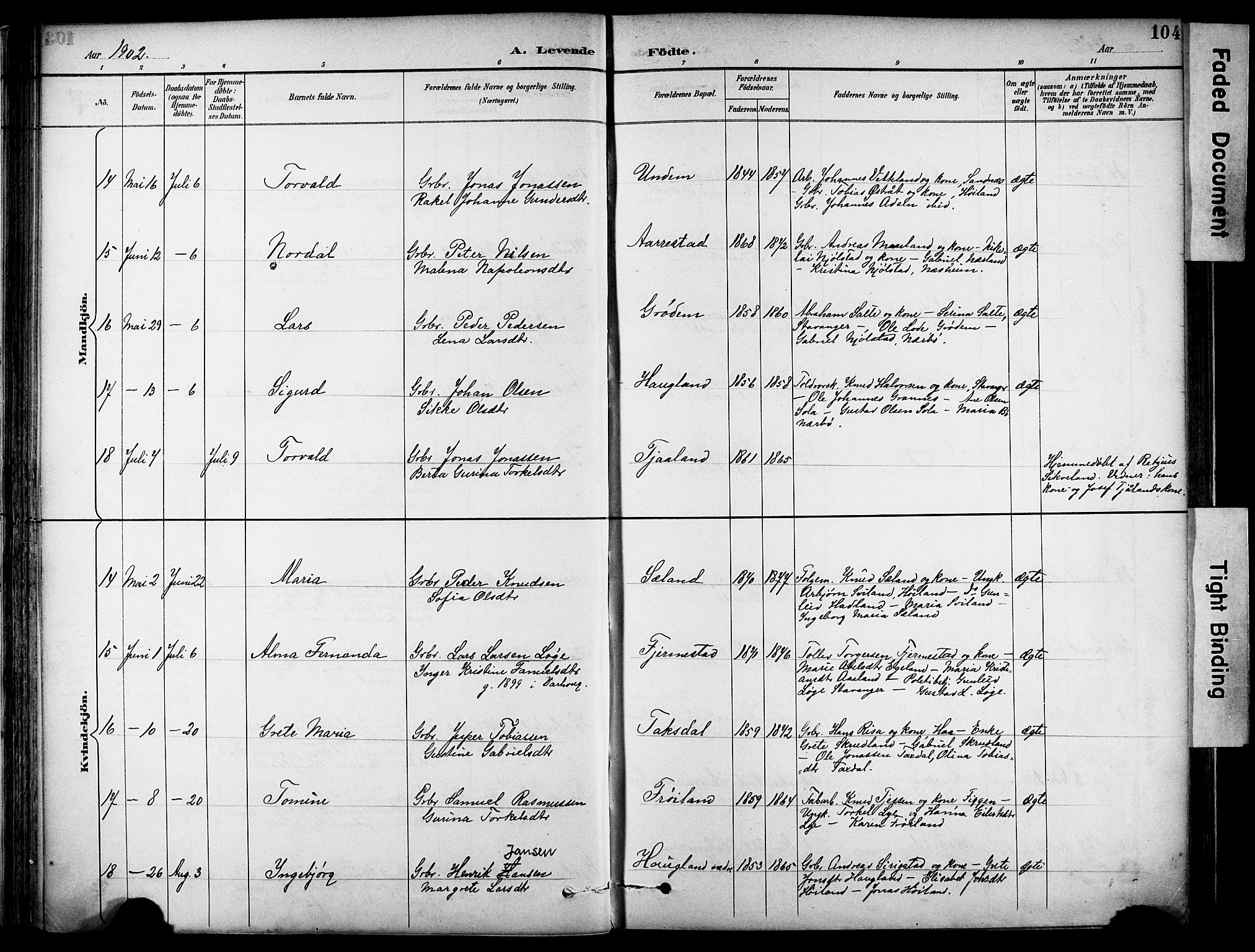 Lye sokneprestkontor, AV/SAST-A-101794/001/30BA/L0011: Parish register (official) no. A 9, 1893-1903, p. 104