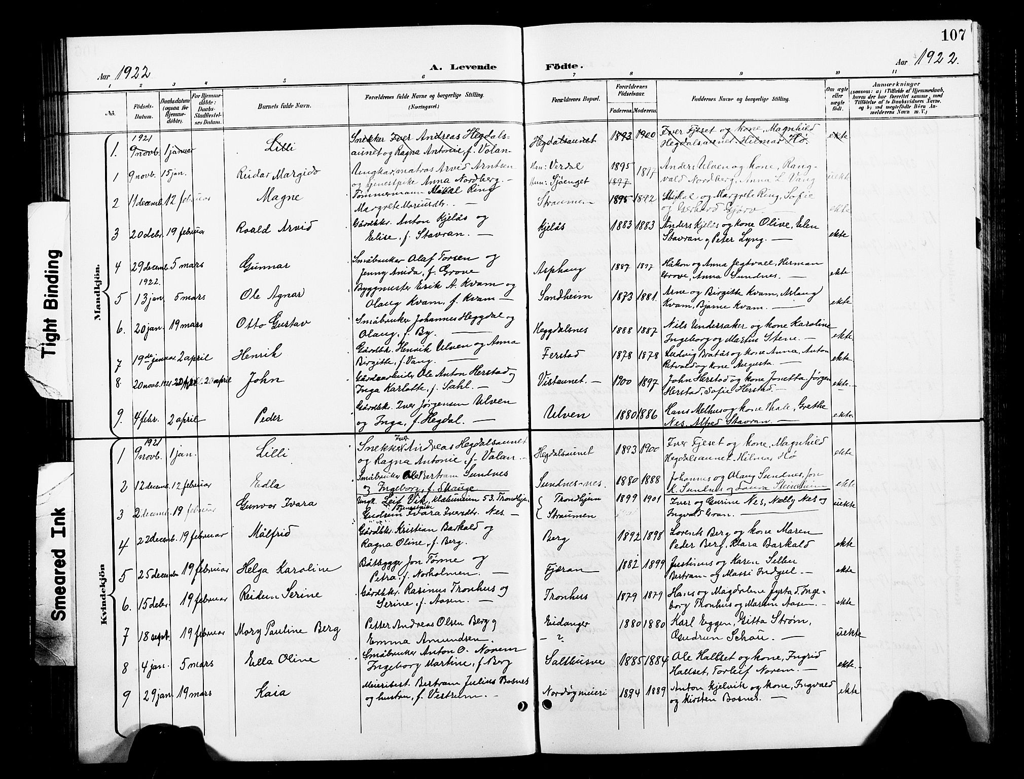 Ministerialprotokoller, klokkerbøker og fødselsregistre - Nord-Trøndelag, SAT/A-1458/730/L0302: Parish register (copy) no. 730C05, 1898-1924, p. 107